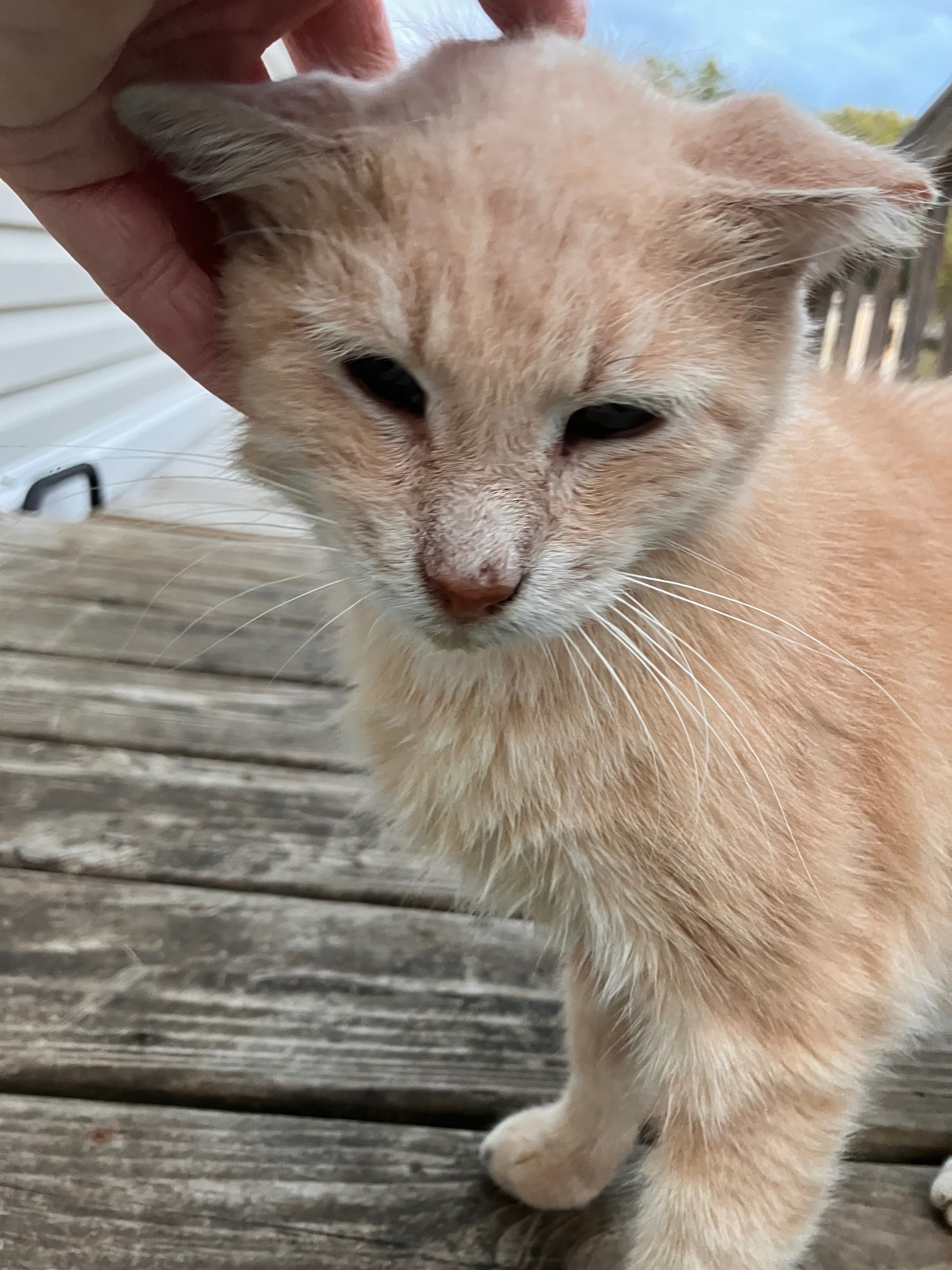 Help Sad Boy Get the Care He Deserves campaign photo, 7 of 8