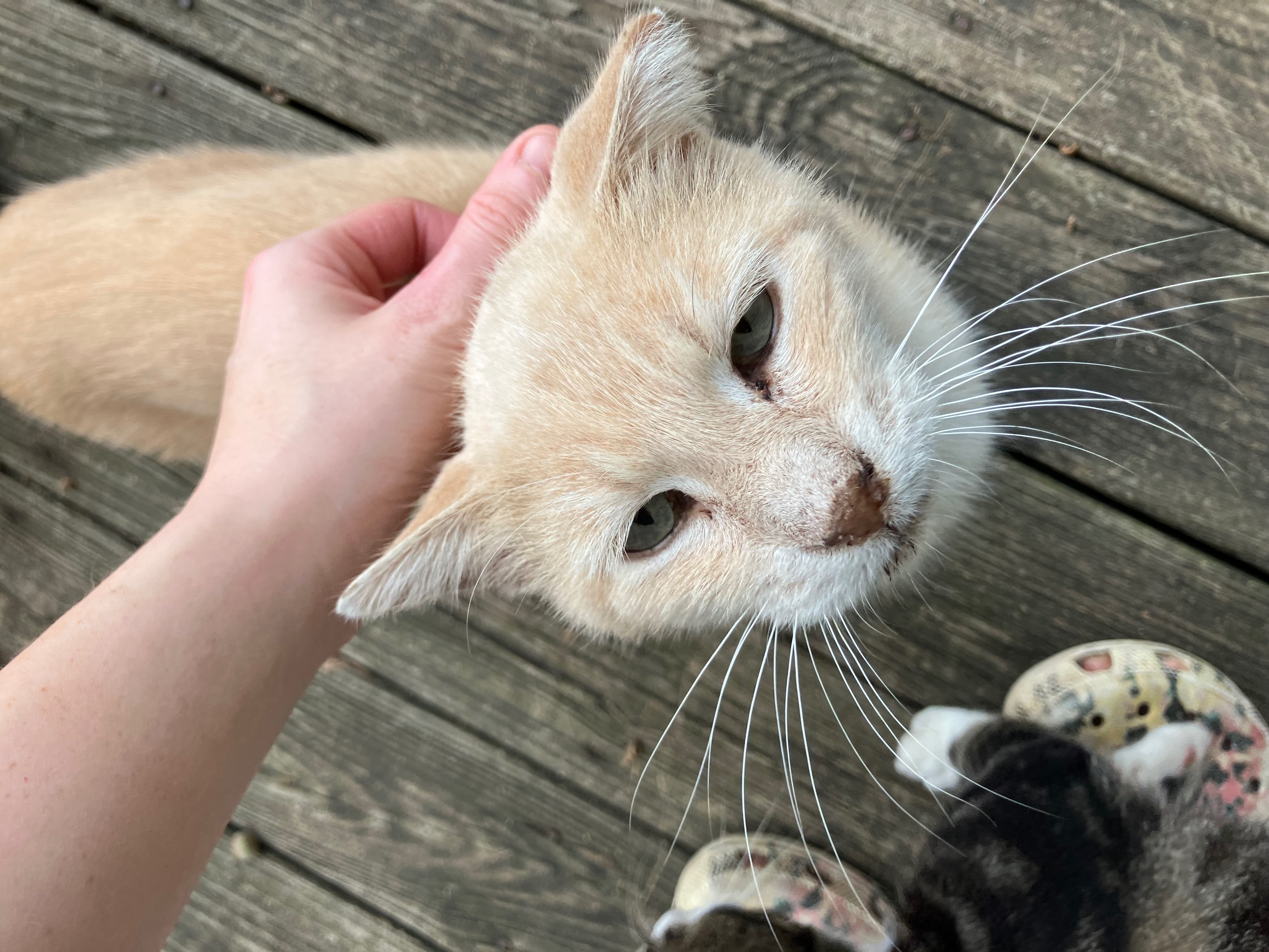 Help Sad Boy Get the Care He Deserves campaign photo, 2 of 8