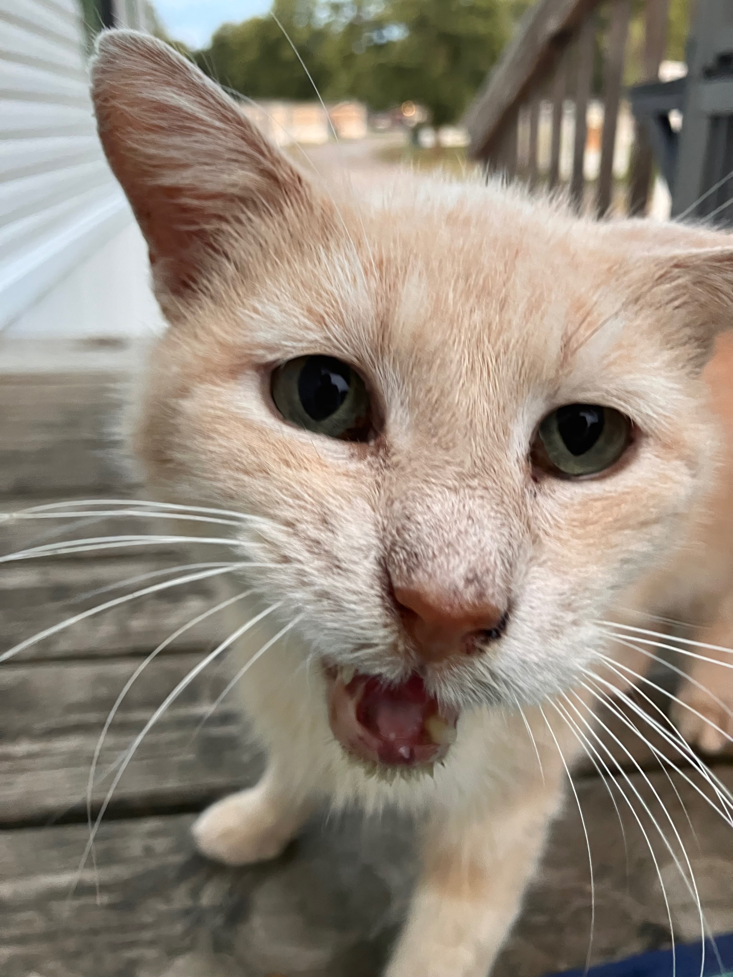 Help Sad Boy Get the Care He Deserves campaign photo, 4 of 8