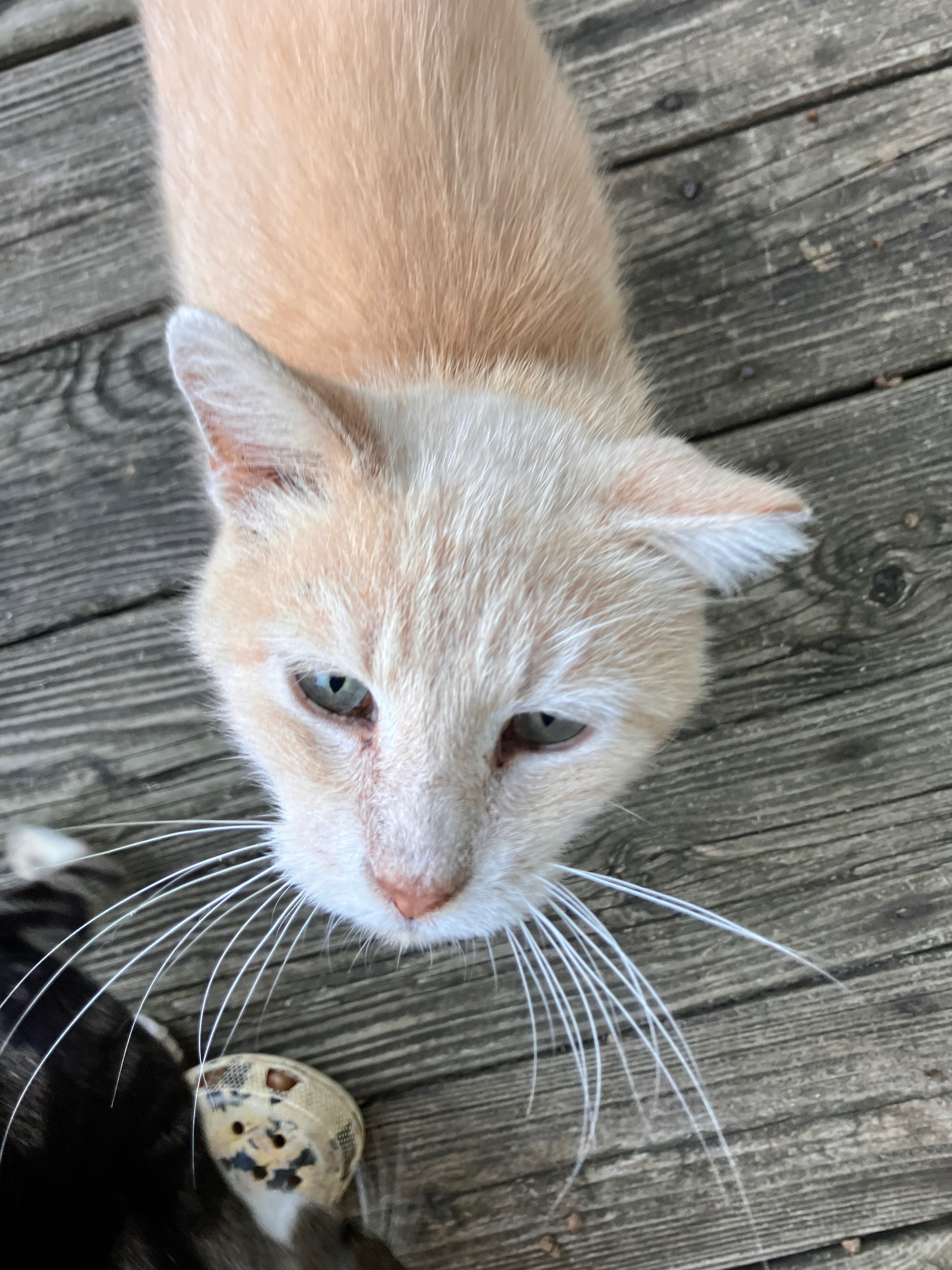 Help Sad Boy Get the Care He Deserves campaign photo, 6 of 8