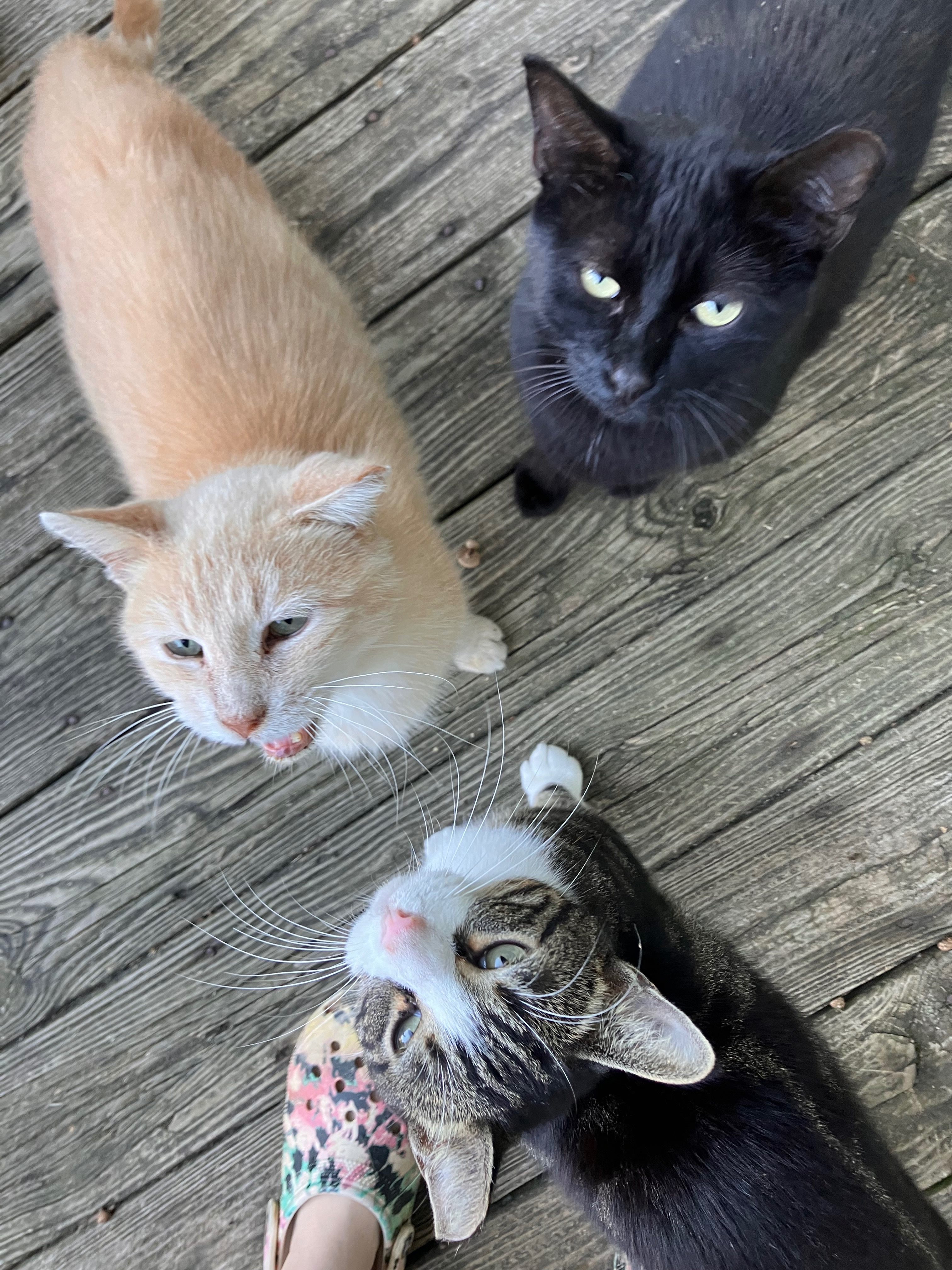 Help Sad Boy Get the Care He Deserves campaign photo, 5 of 8