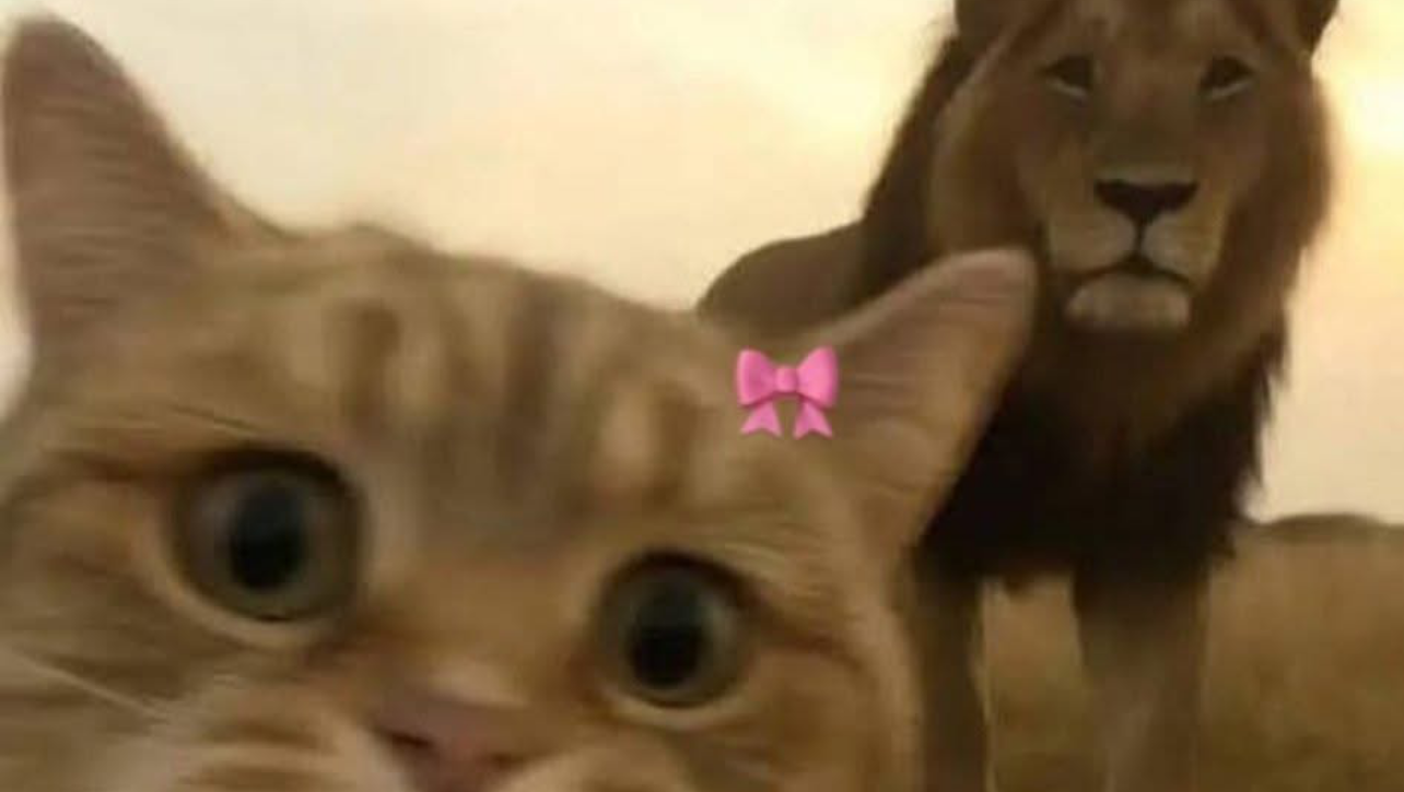 Donate to June's Path to Well-being photo