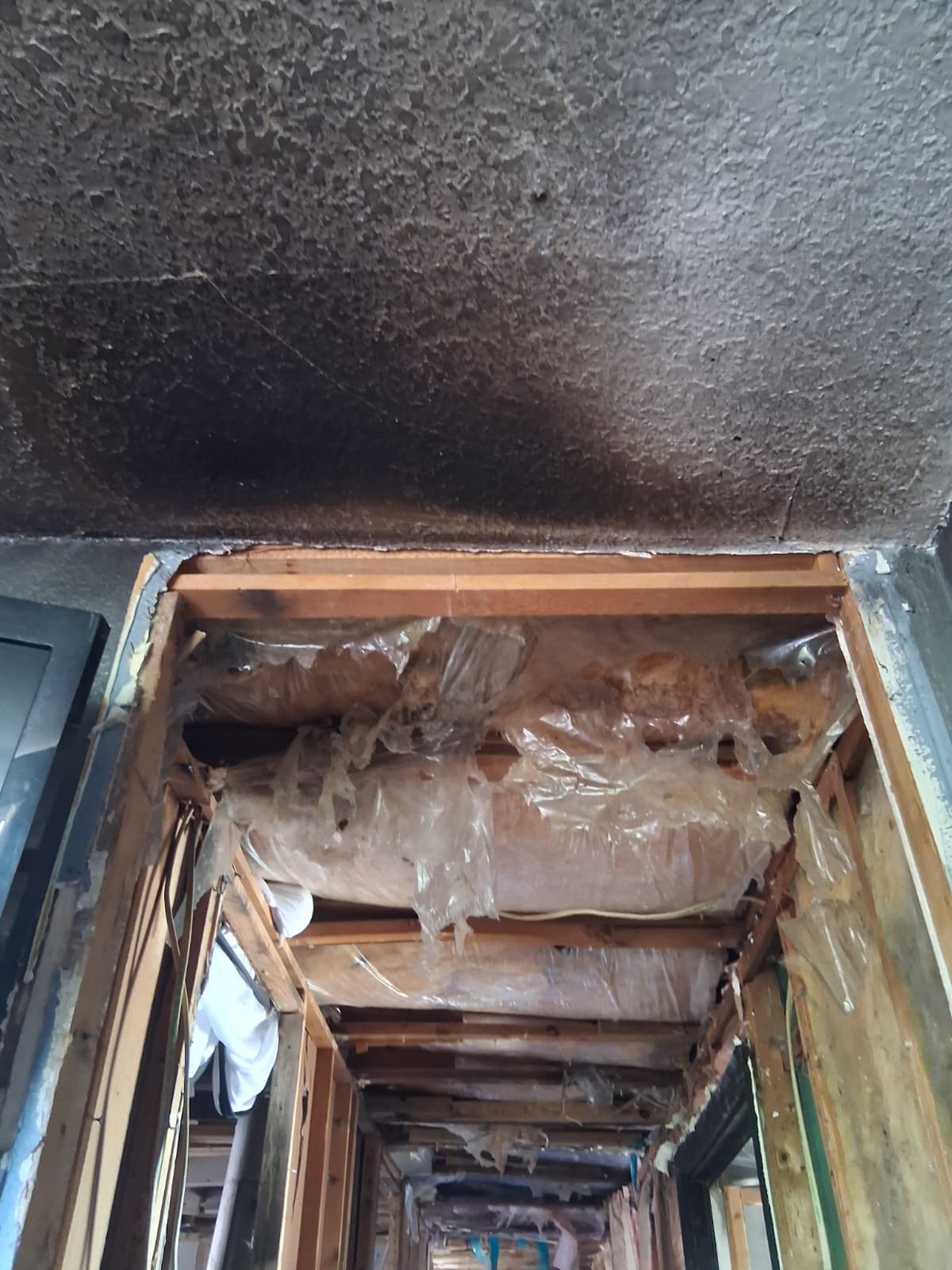 Help Gloria’s Family Rebuild Their Home campaign photo, 5 of 7