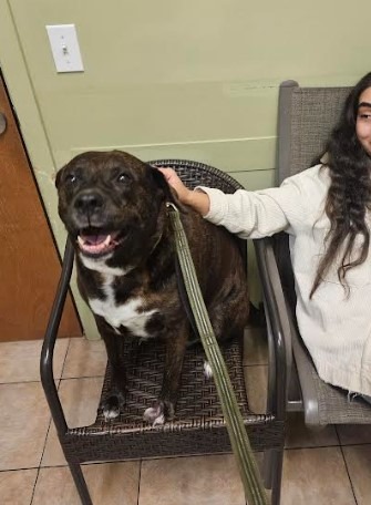 Please Help Primrose Beat Cancer: Urgent Surgery Needed campaign photo, 7 of 8