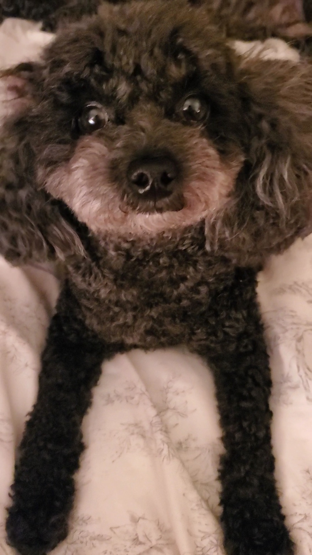 Gigi's hospital expenses campaign photo, 2 of 7