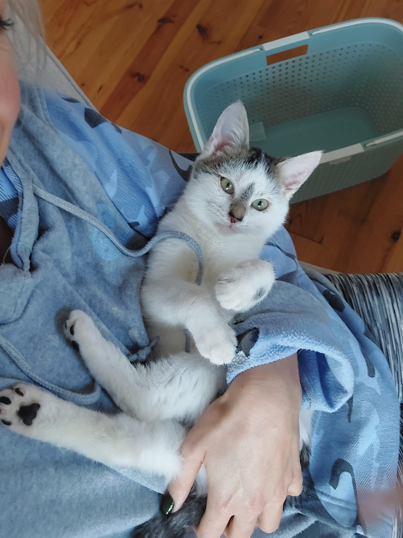 Sumsum haar operatie - FIV campaign photo, 7 of 8