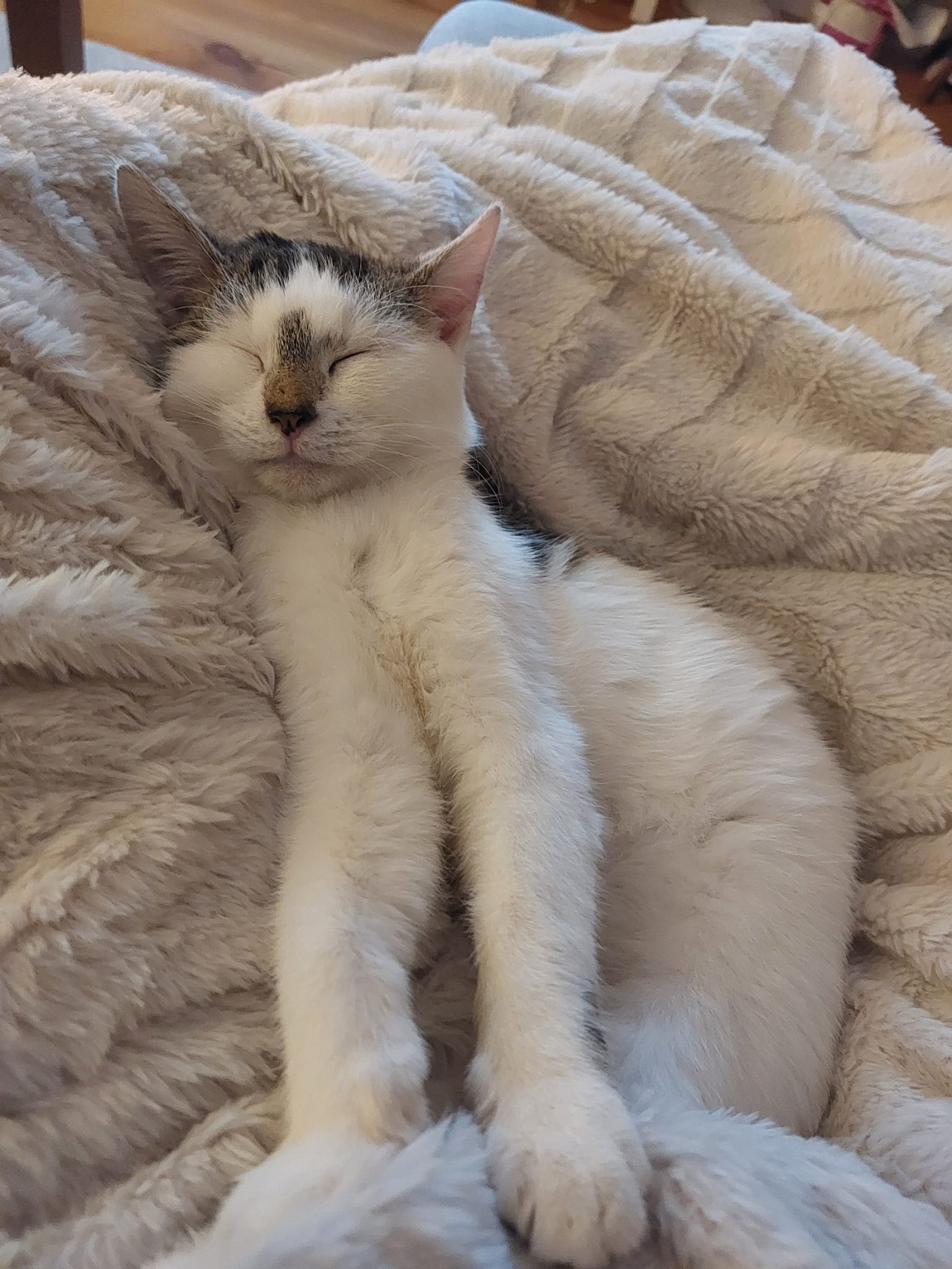 Sumsum haar operatie - FIV campaign photo, 2 of 8