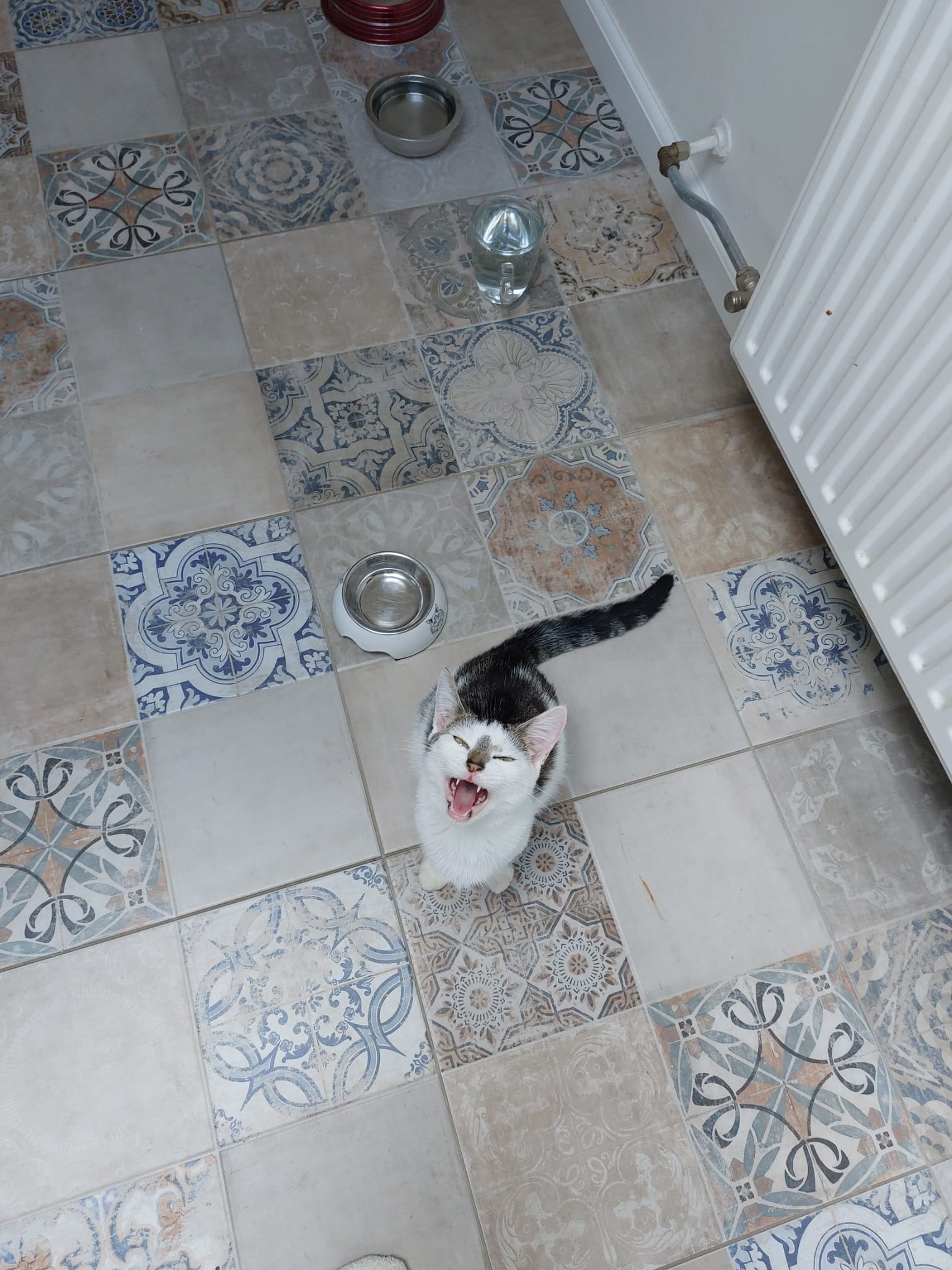 Sumsum haar operatie - FIV campaign photo, 6 of 8