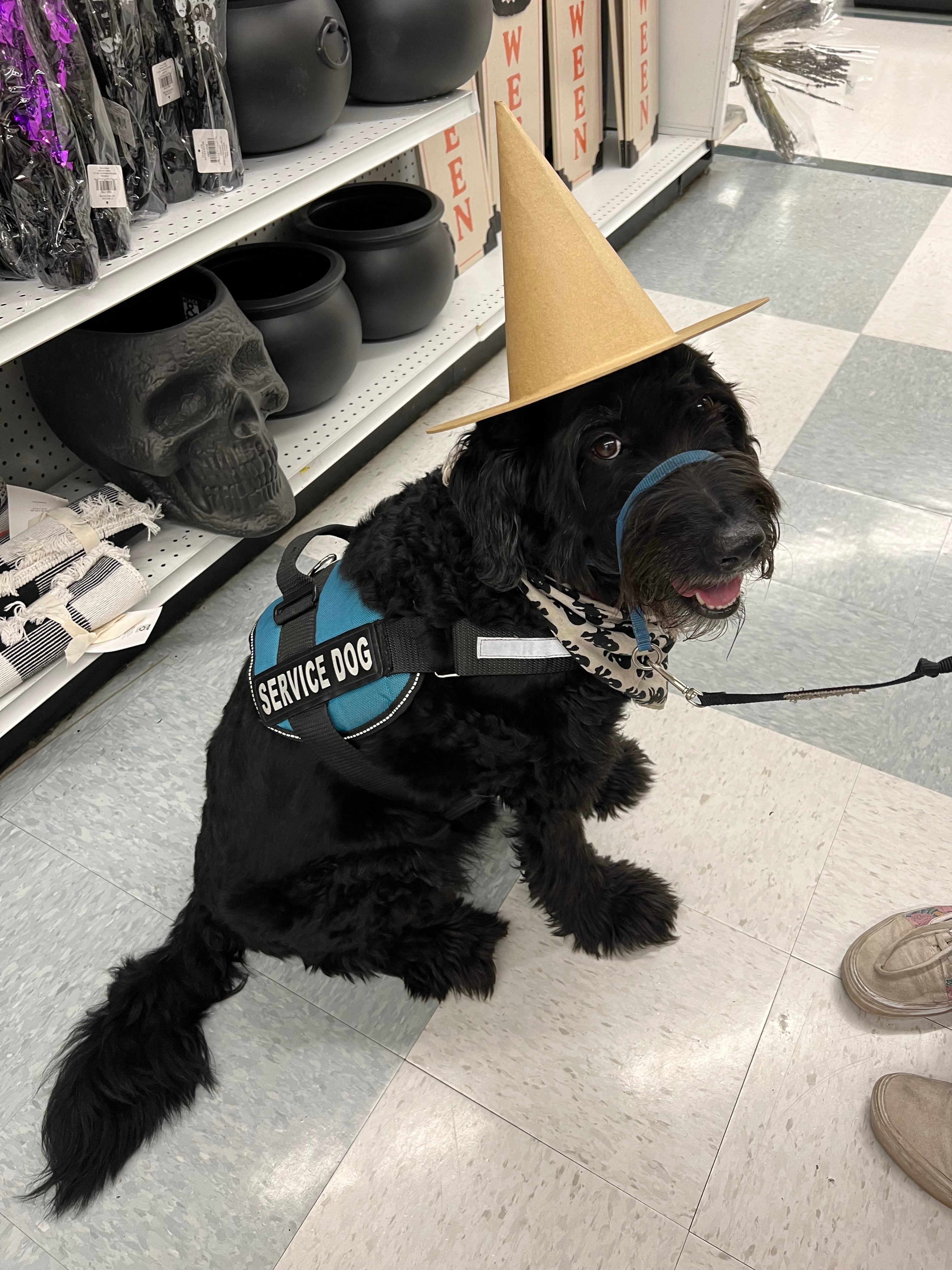 Help with Maxx’s Medical Bill campaign photo, 4 of 7