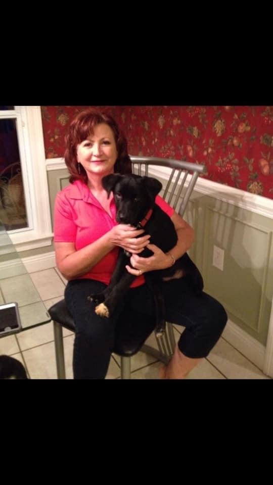 Support Jeanine’s Kidney Transplant Journey campaign photo, 4 of 8