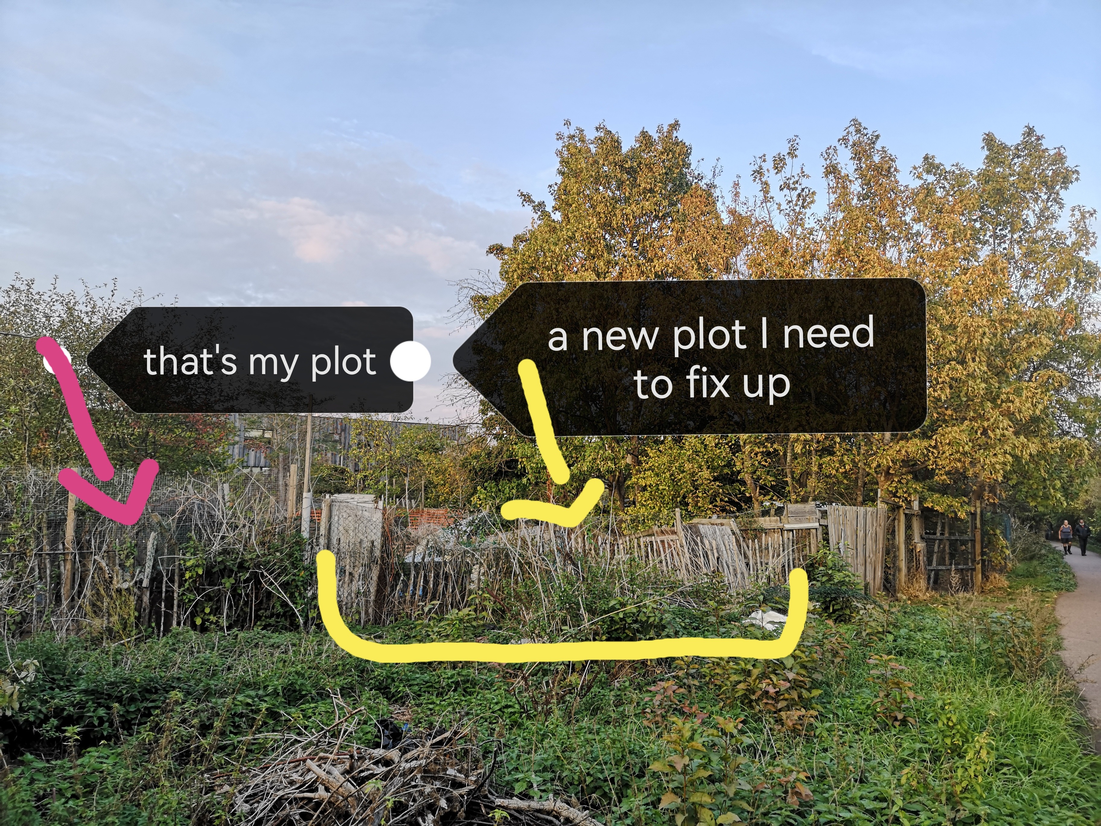 Help build a fence for my hens campaign photo, 7 of 8