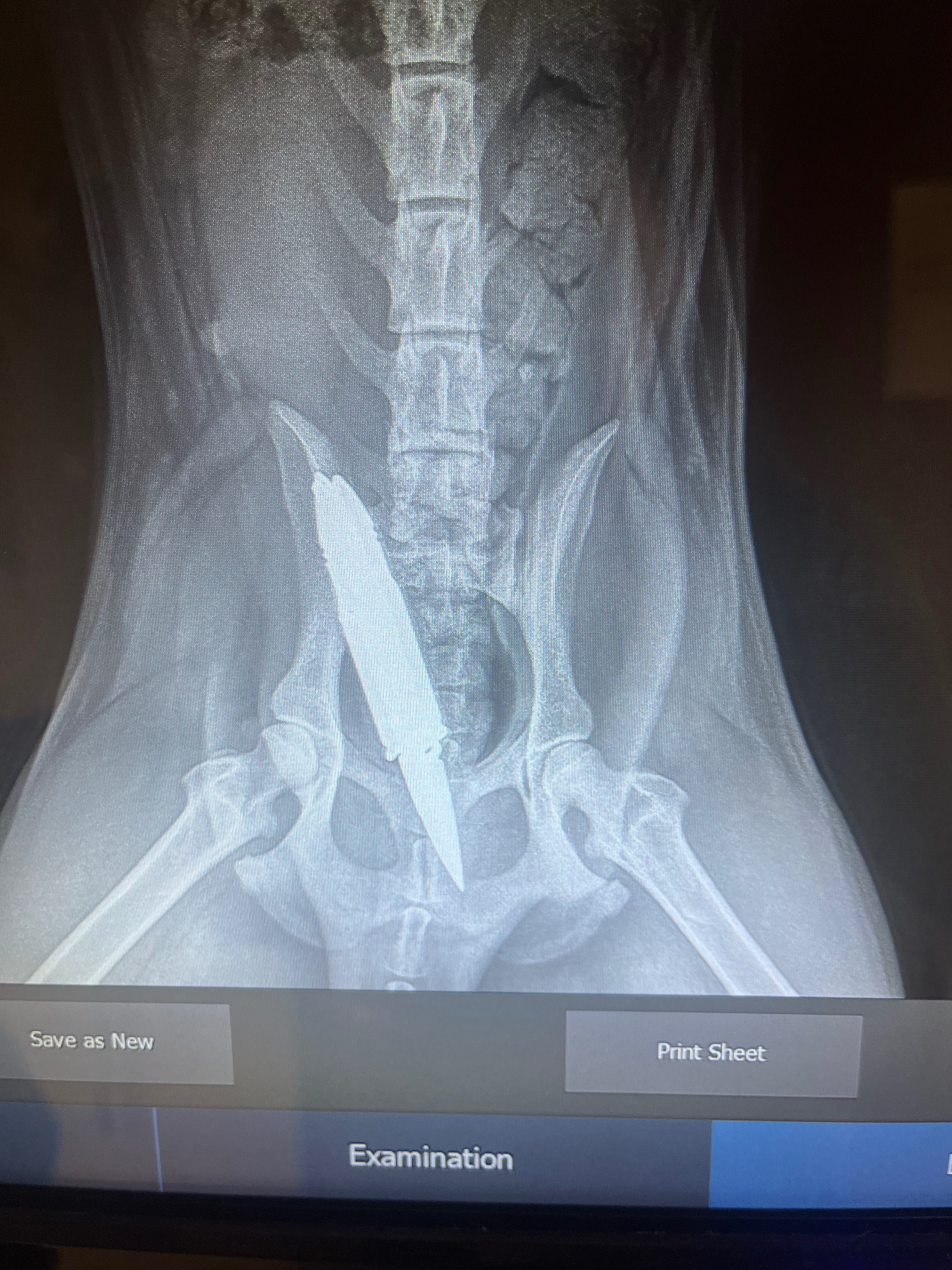 Urgent Surgery Needed for Abused Puppy campaign photo, 6 of 8