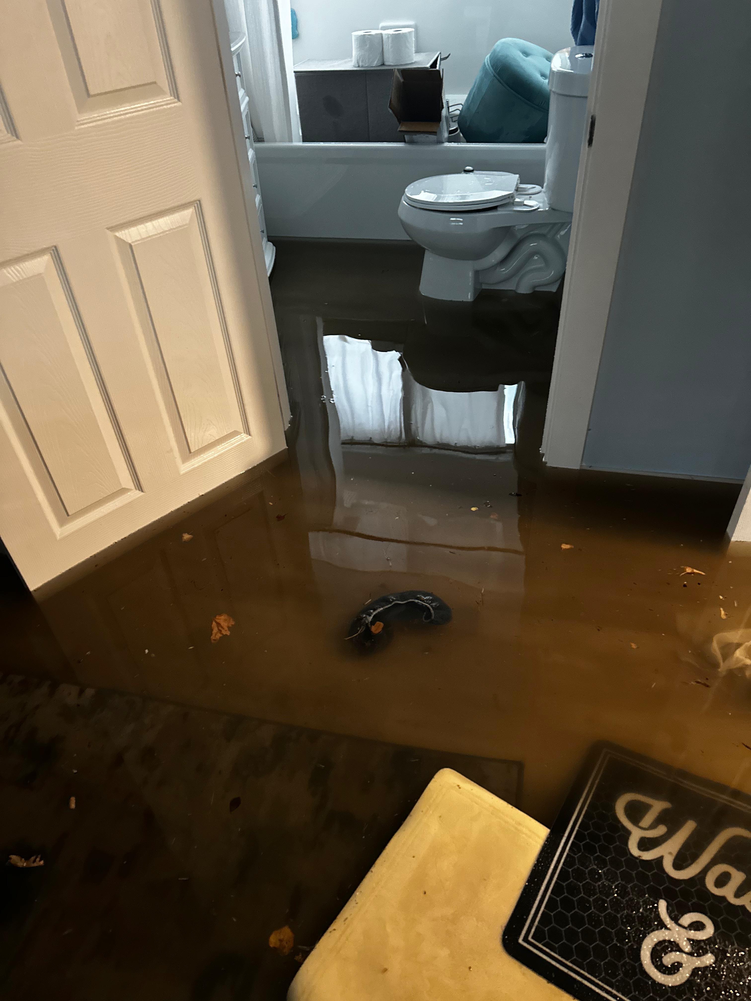 Help the Winder Family rebuild after the flood. campaign photo, 6 of 7