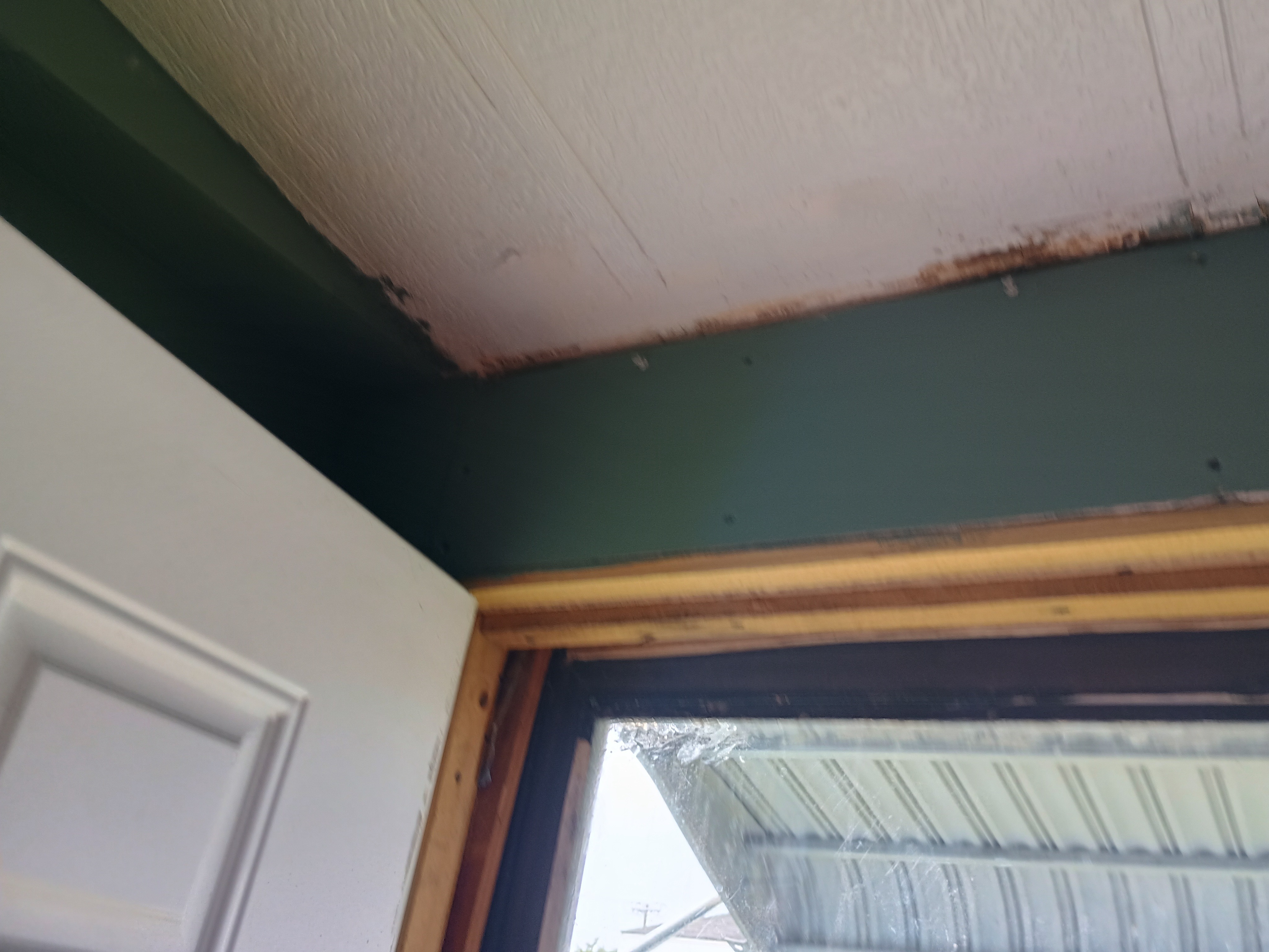 Support a Senior in Paying Off Debt and replacing my roof . campaign photo, 4 of 5