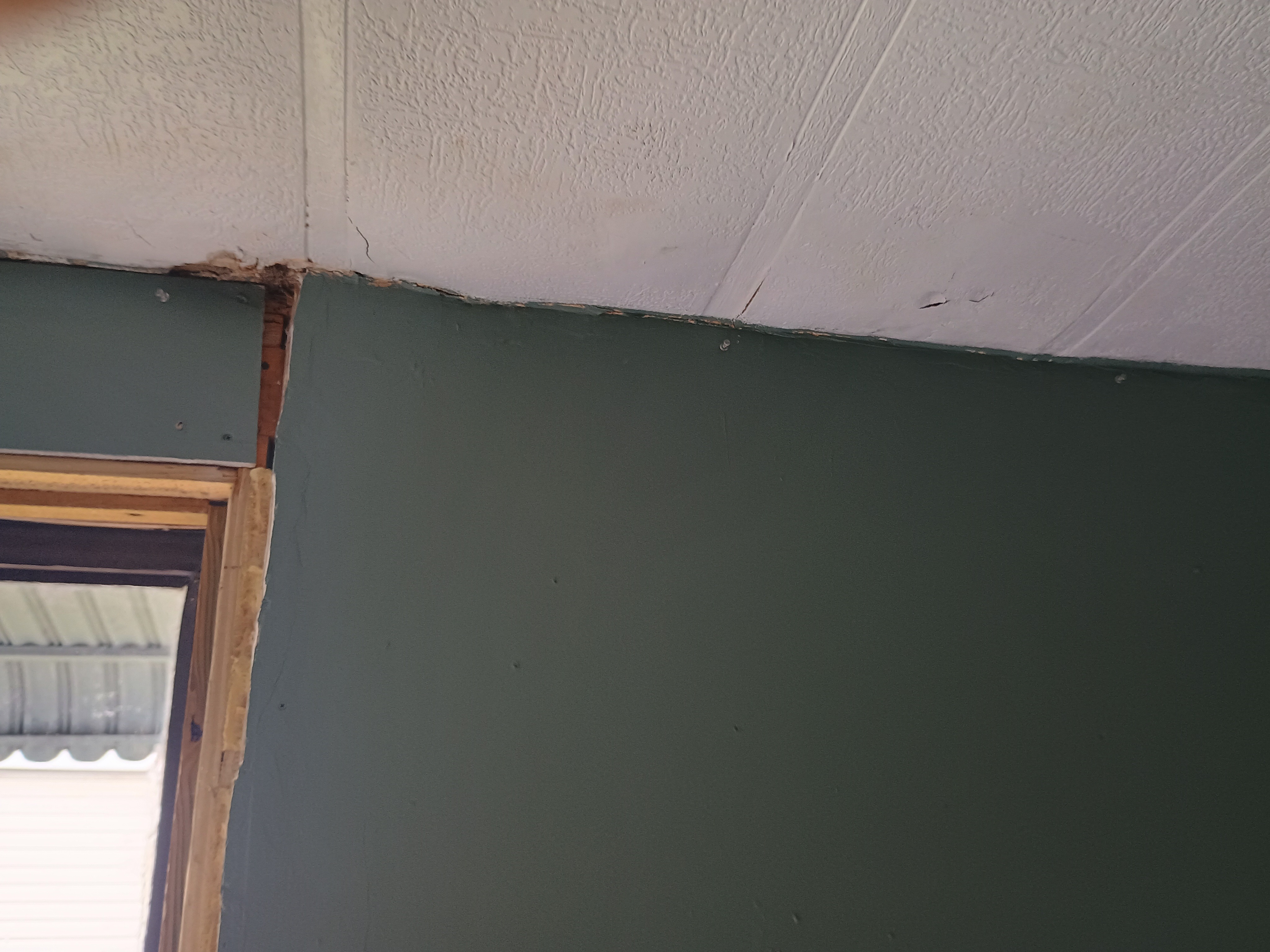 Support a Senior in Paying Off Debt and replacing my roof . campaign photo, 2 of 5