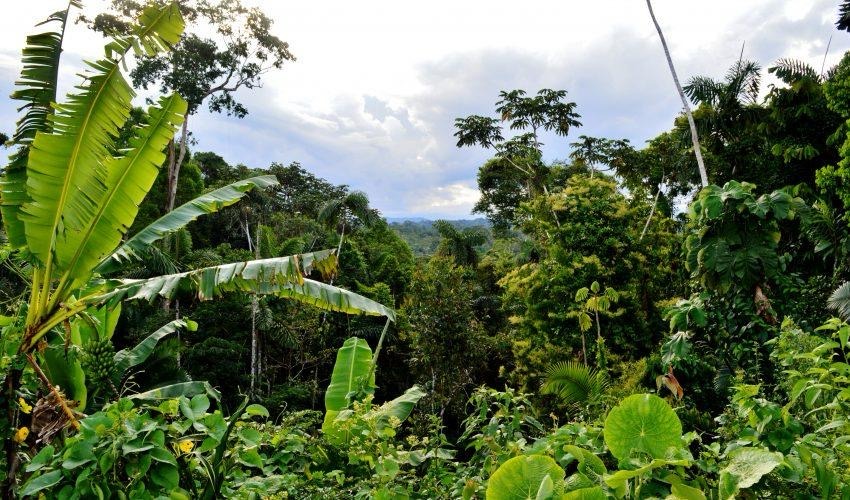 Help Caitlin to transform communities in Ecuador & Galápagos campaign photo, 5 of 8