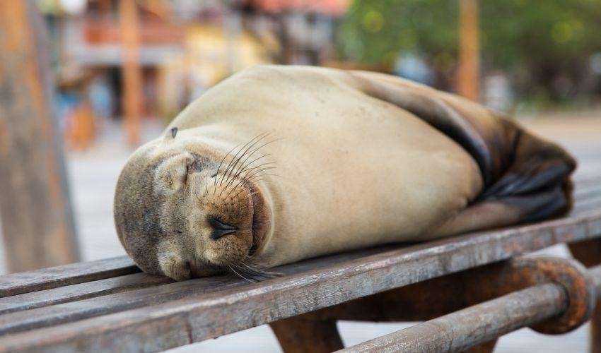 Help Caitlin to transform communities in Ecuador & Galápagos campaign photo, 6 of 8