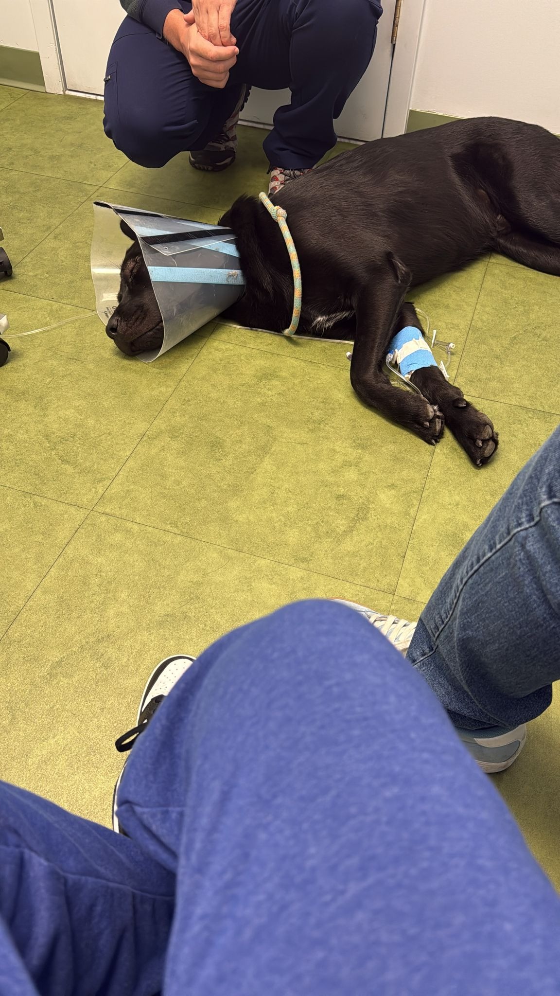 User-uploaded image 1