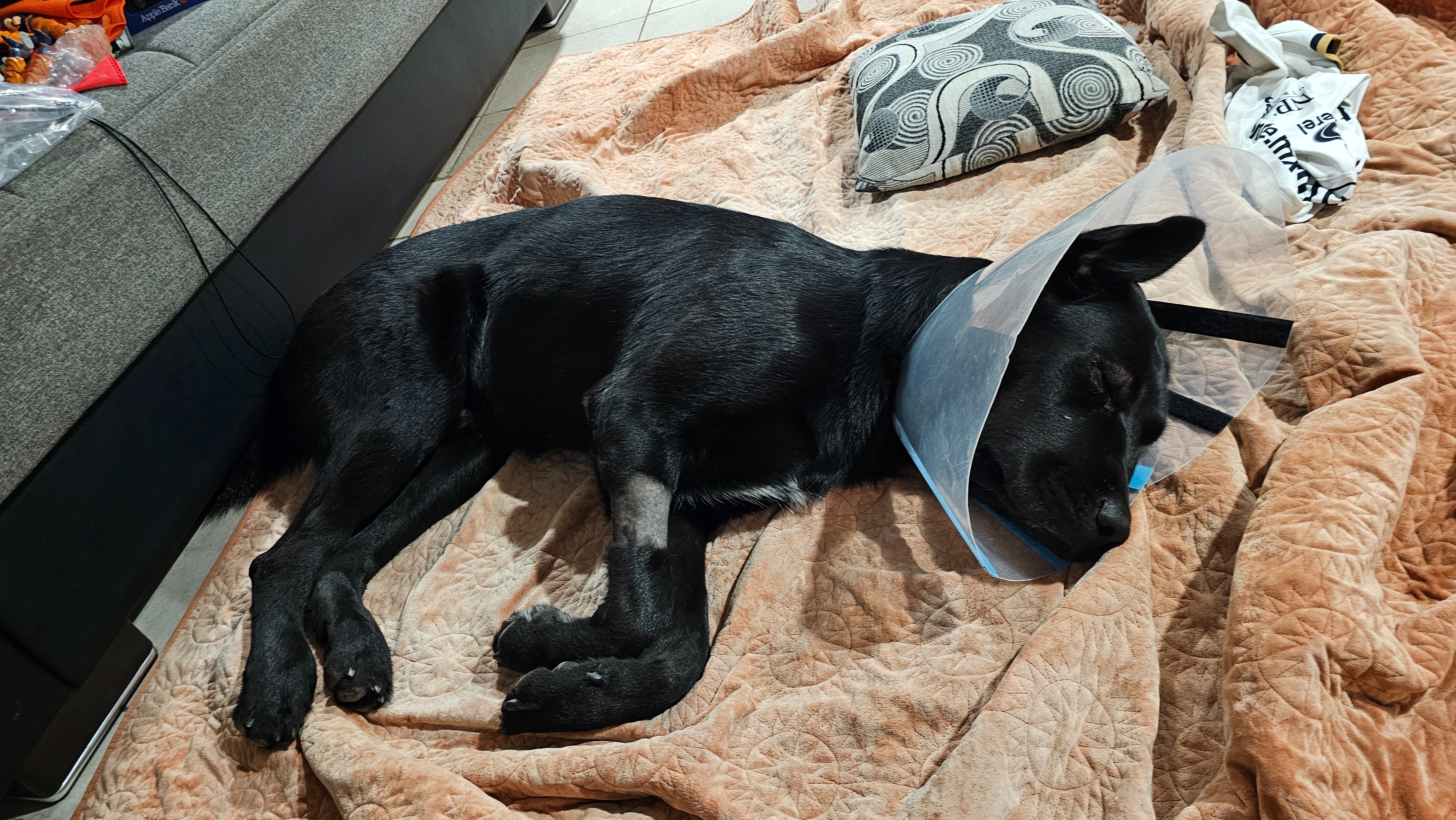 User-uploaded image 3