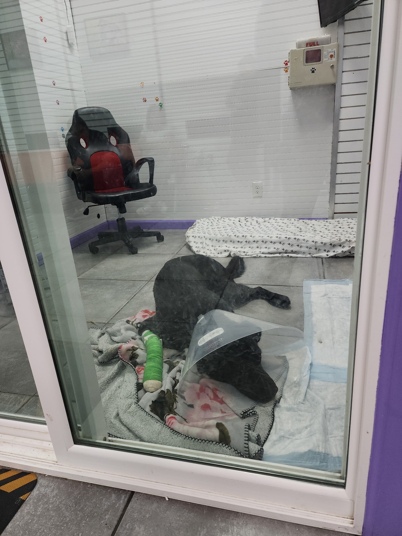 User-uploaded image 4