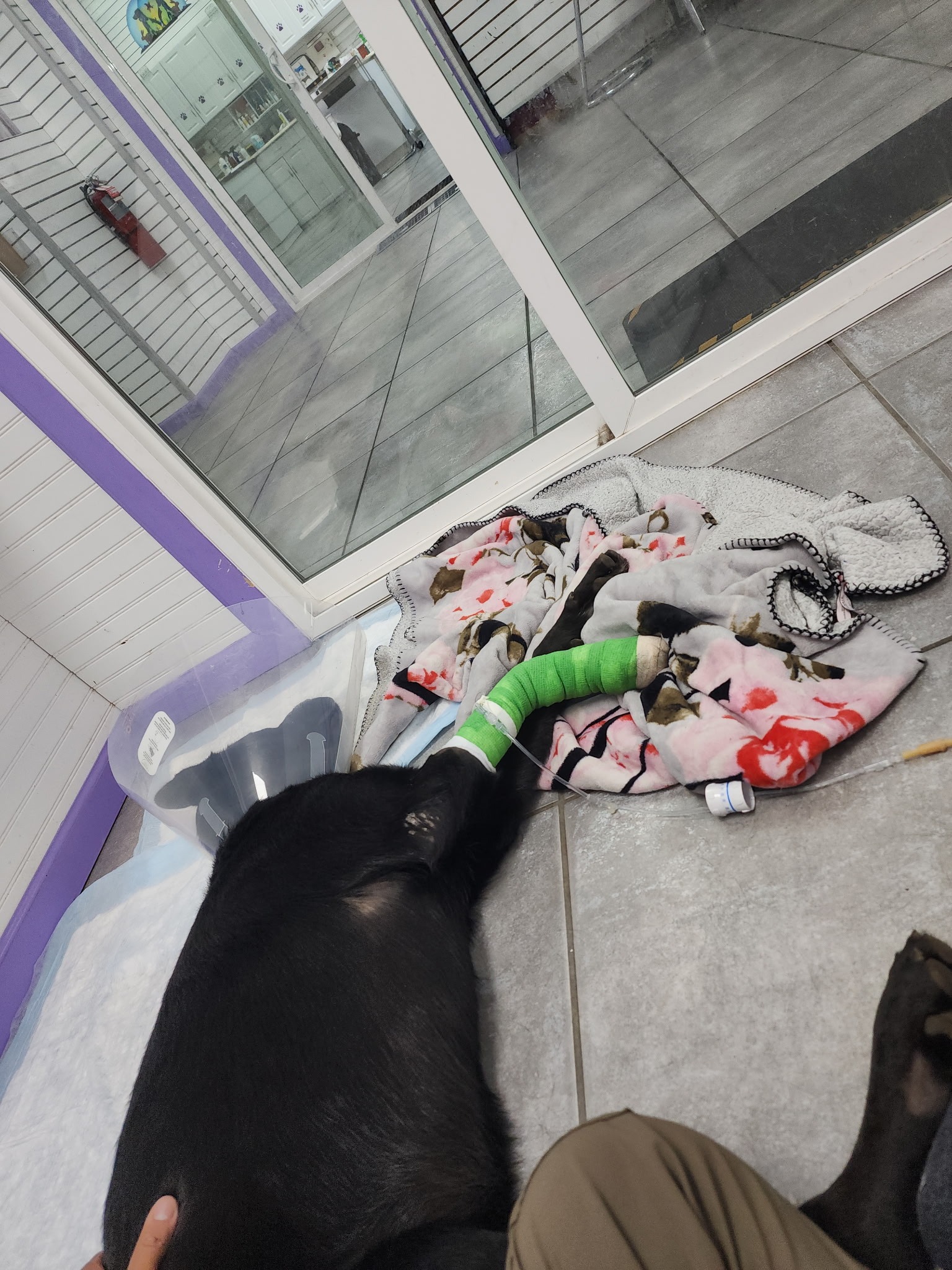 User-uploaded image 5