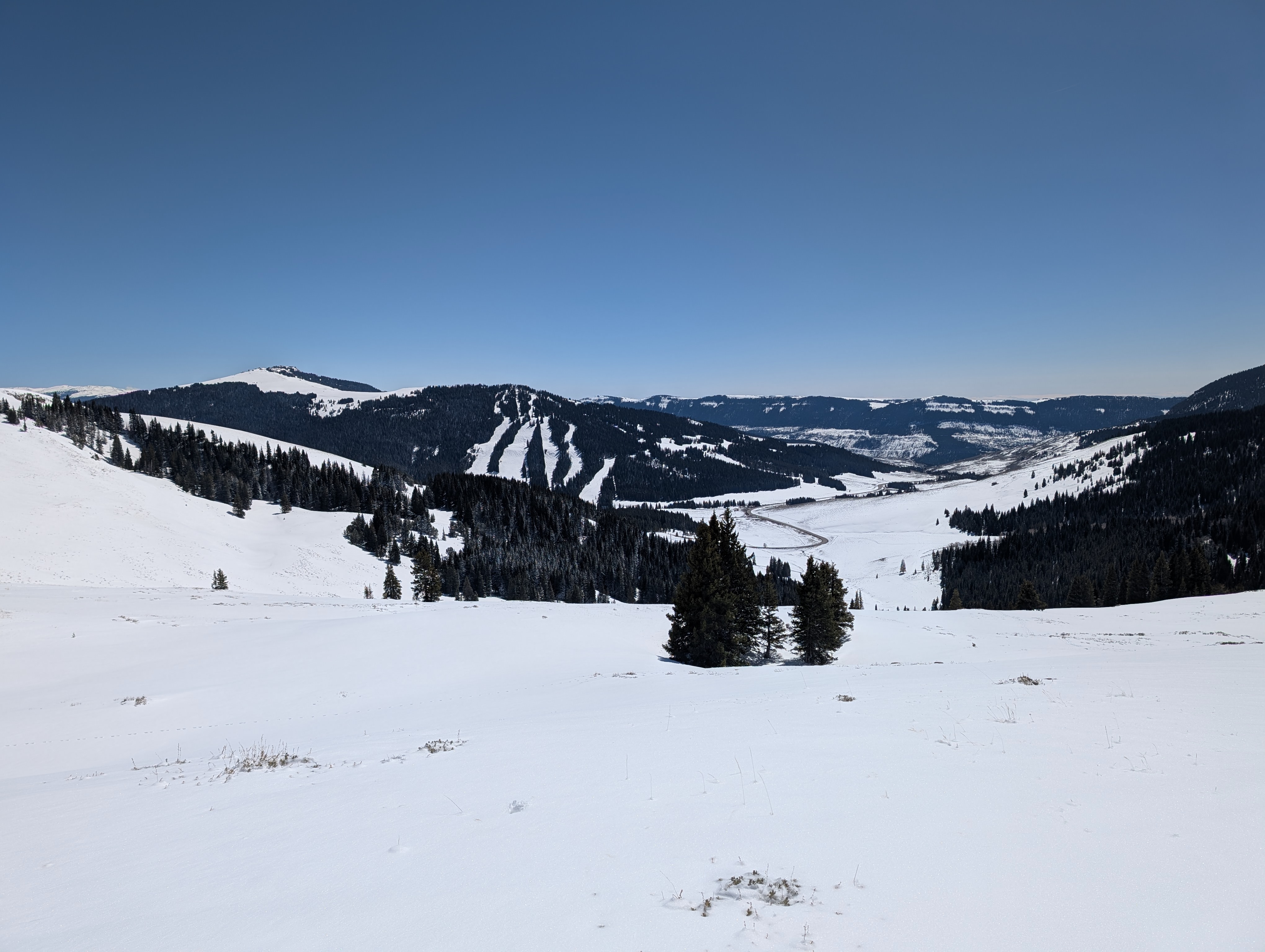 Support Little Bear Ski Team's Race Timing Upgrade campaign photo, 6 of 7