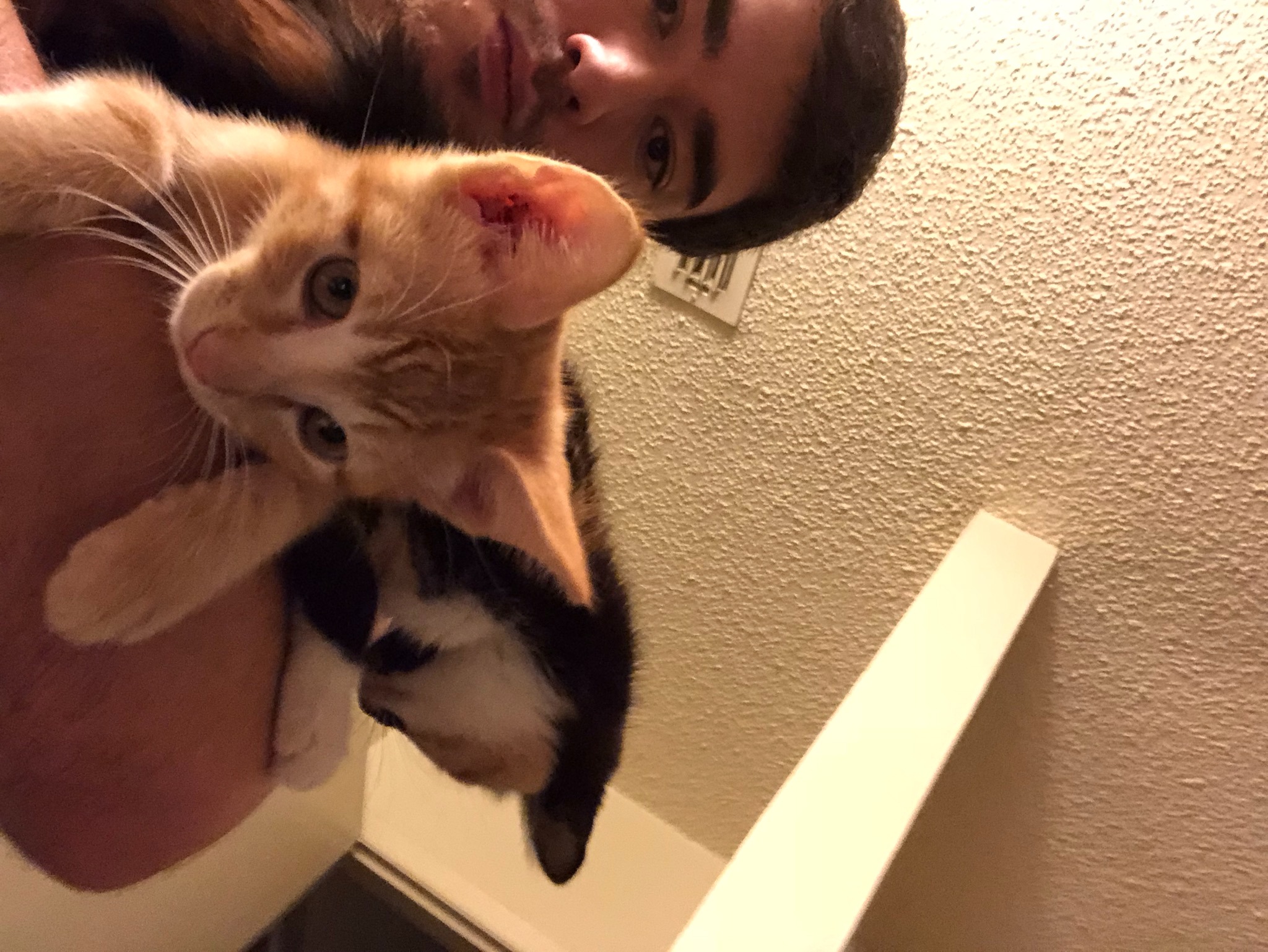 Donate to Save Lilo: Critical Hospital Stay Needed campaign photo, 7 of 8