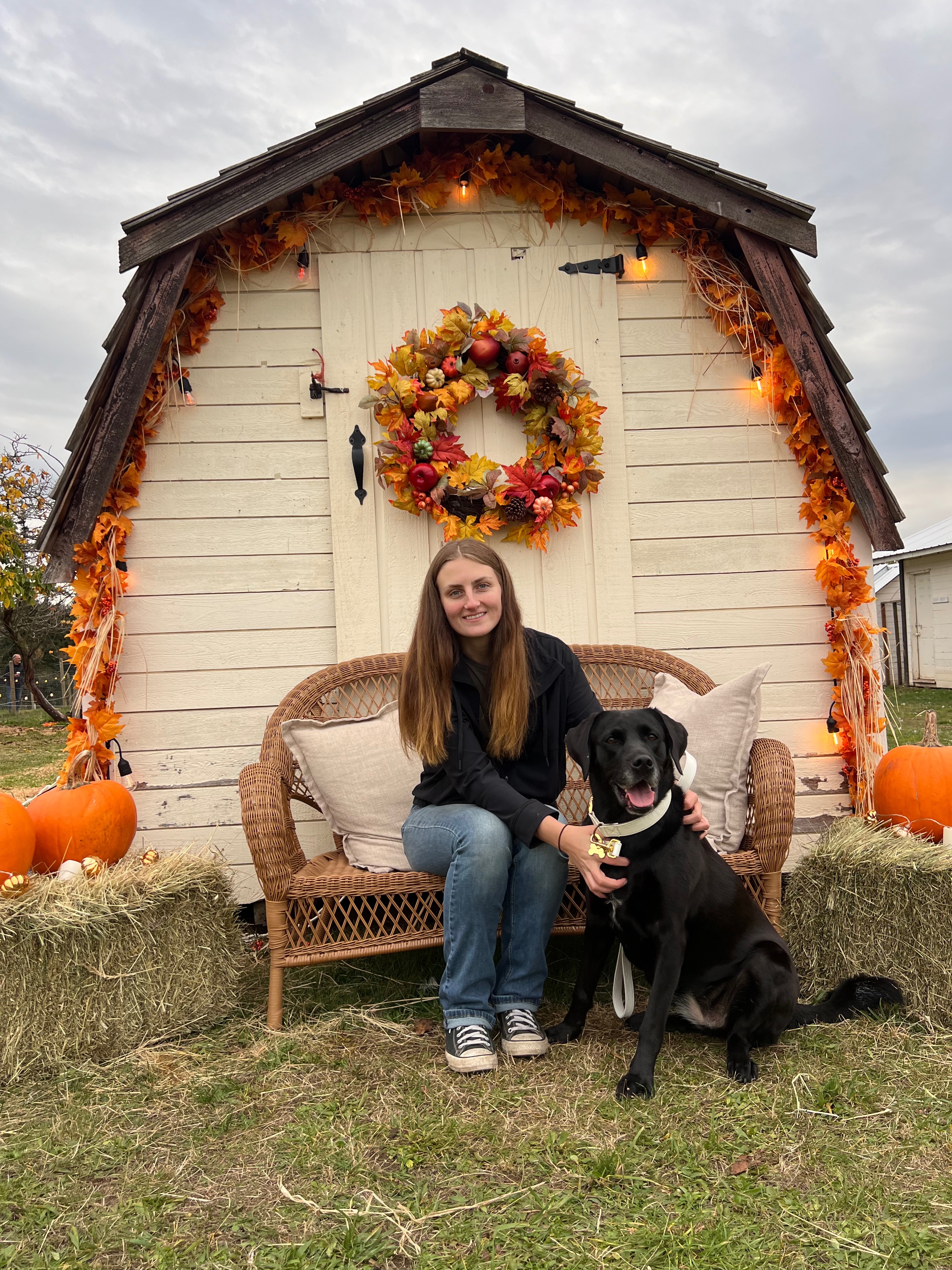 Help Us See the World Together — My Dog & I’s UK Adventure ❤ campaign photo, 4 of 8
