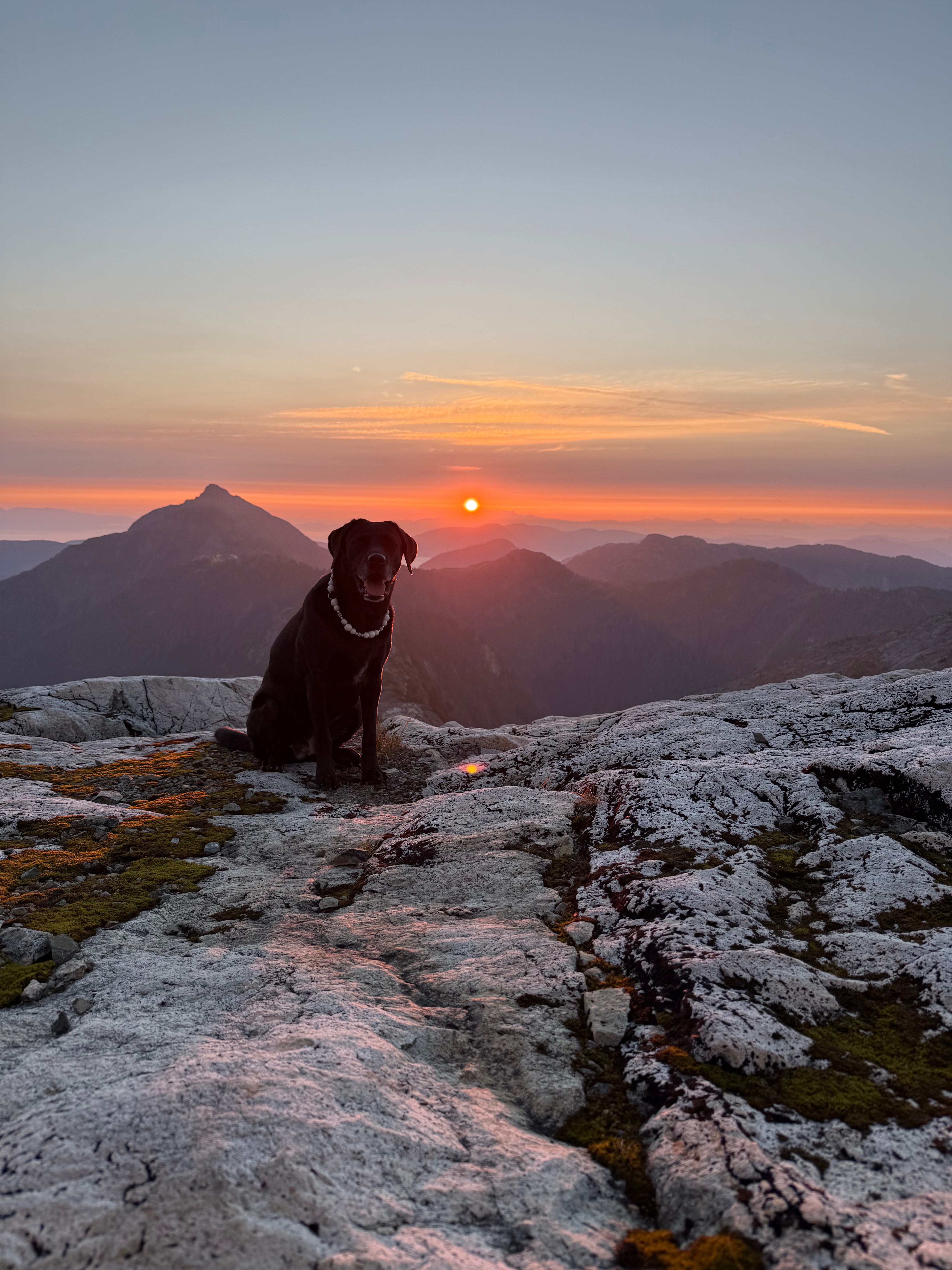 Help Us See the World Together — My Dog & I’s UK Adventure ❤ campaign photo, 6 of 8