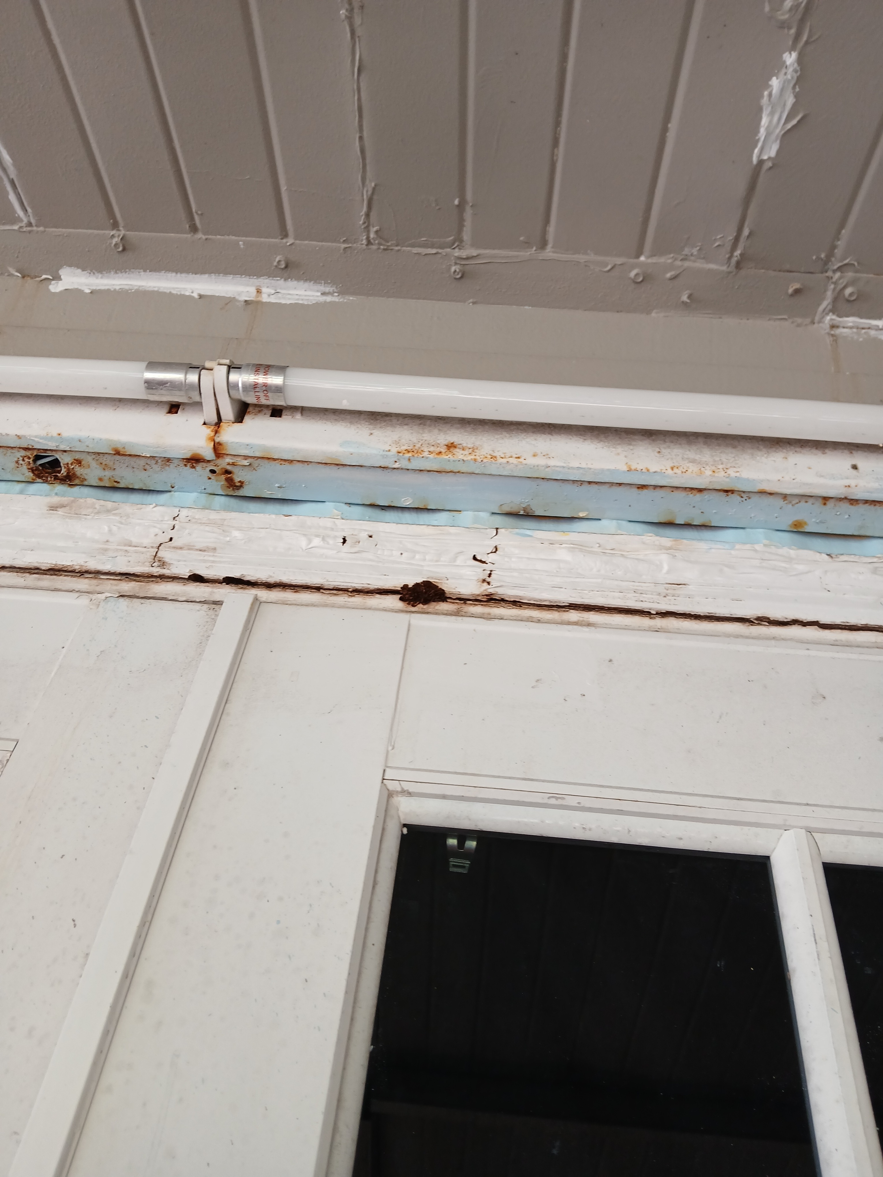 Help Jack Replace His Leaking Roof campaign photo, 2 of 7