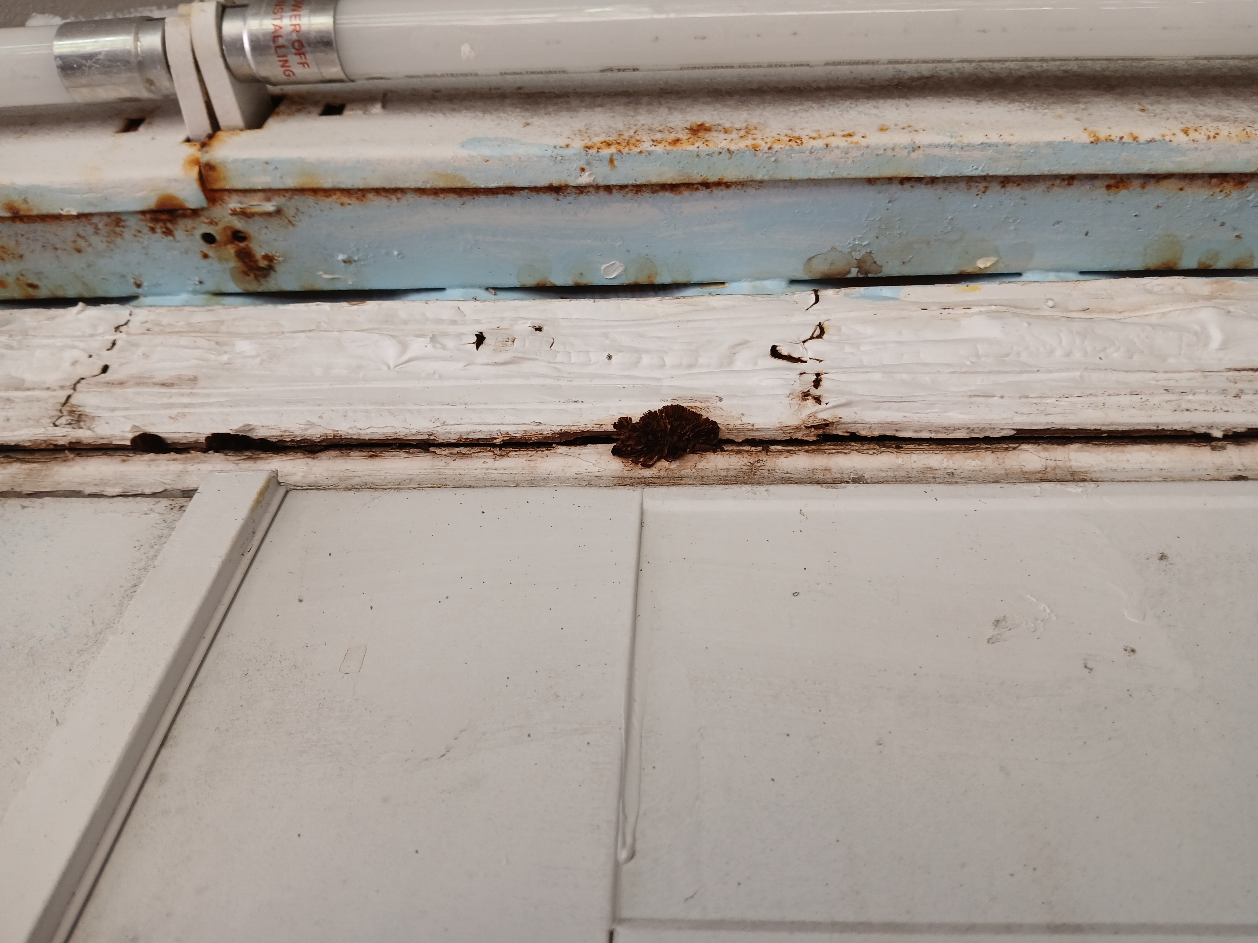 Help Jack Replace His Leaking Roof campaign photo, 5 of 7