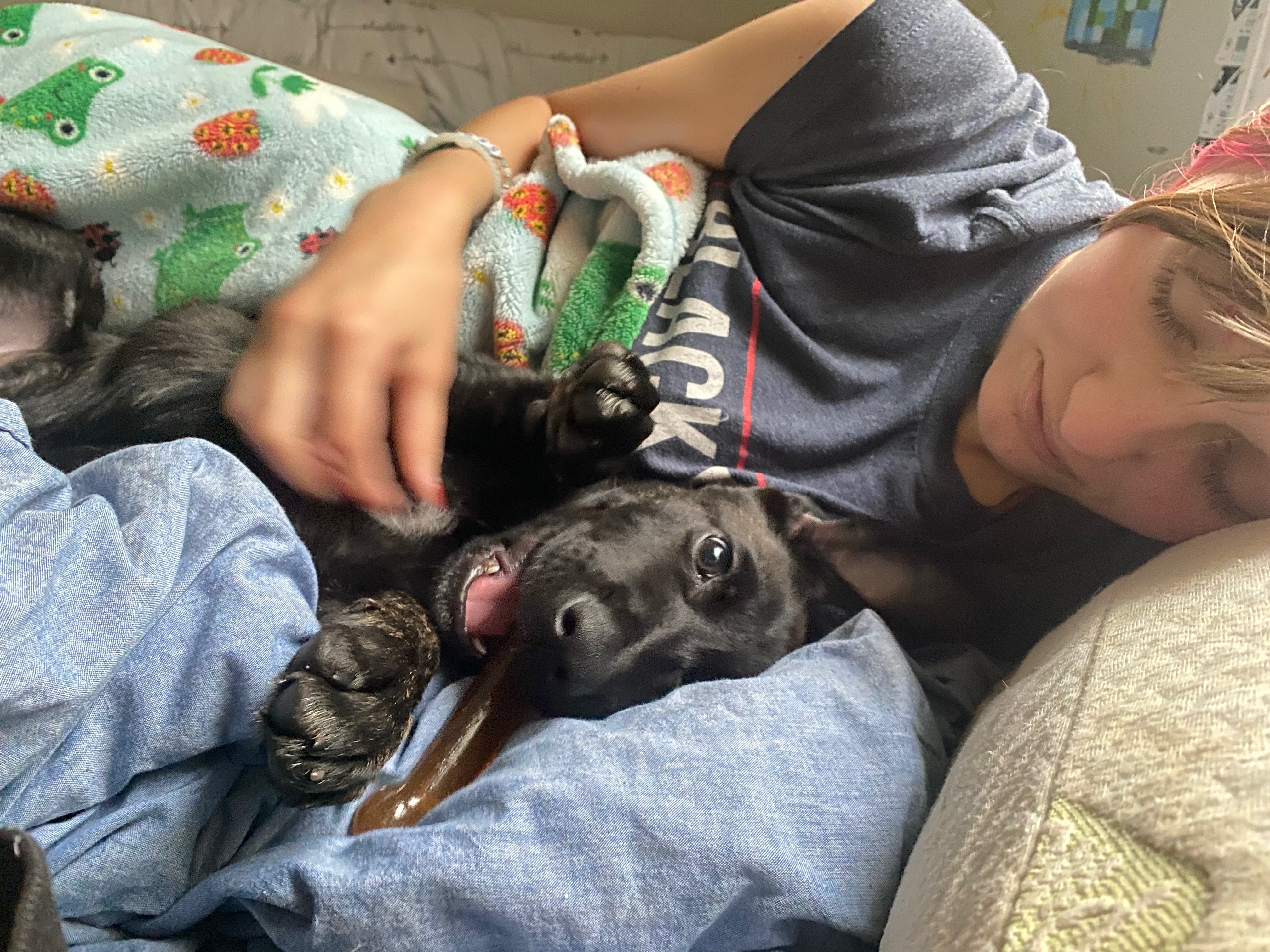 Stella’s Parvovirus Journey campaign photo, 4 of 6