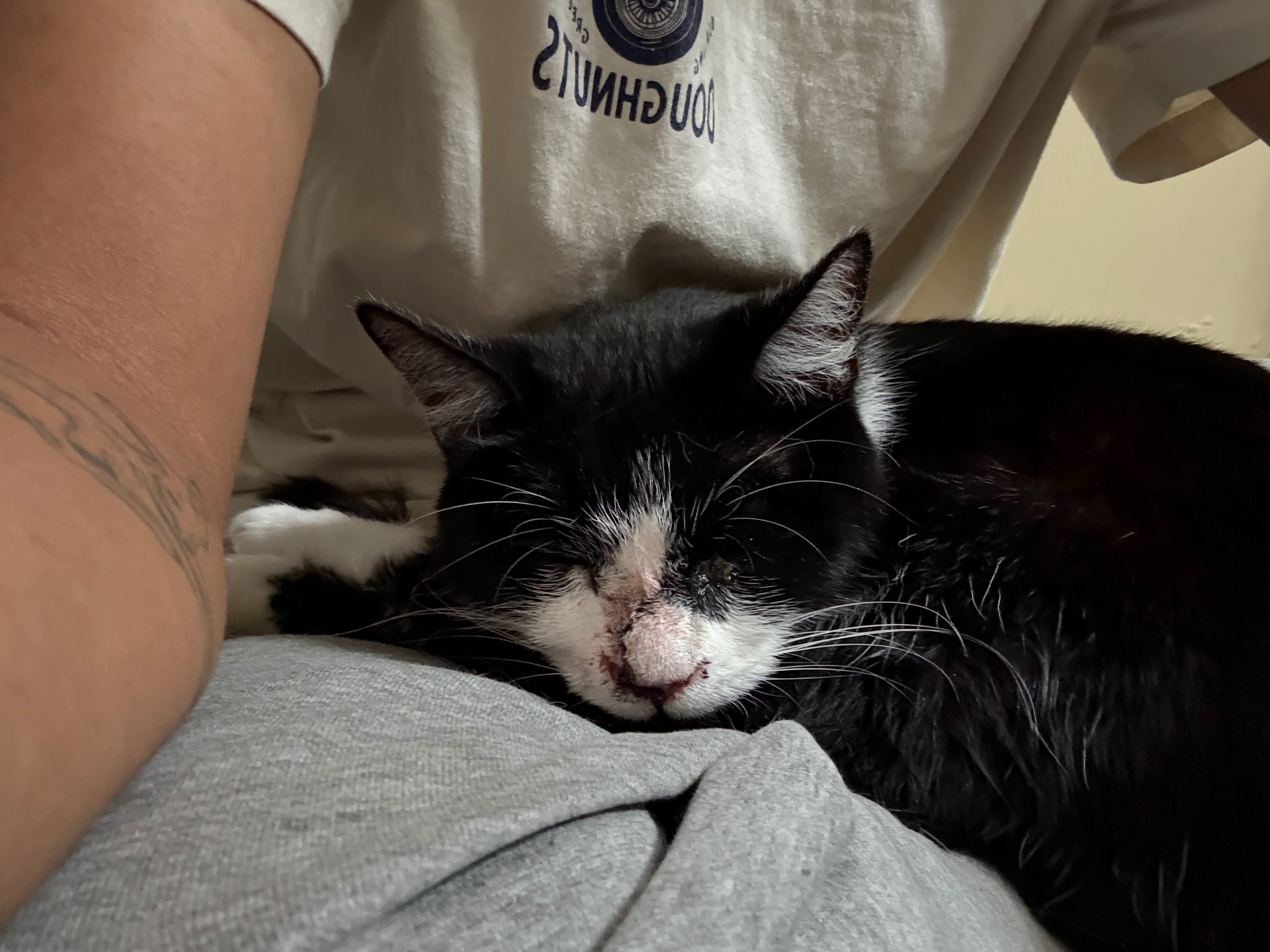 Student Needing Help With Emergency Vet Bills campaign photo, 6 of 7
