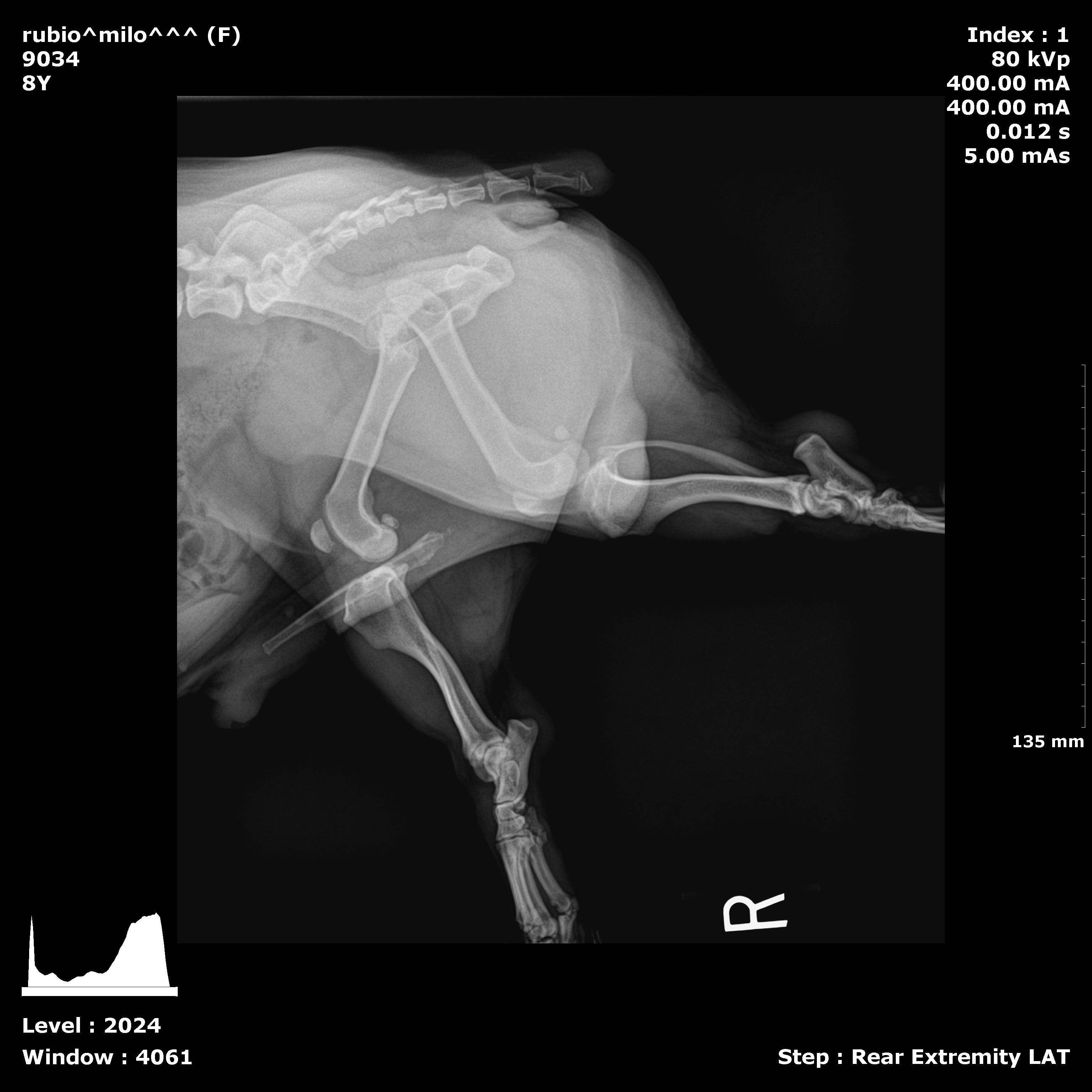 Milo's Surgery campaign photo, 5 of 8