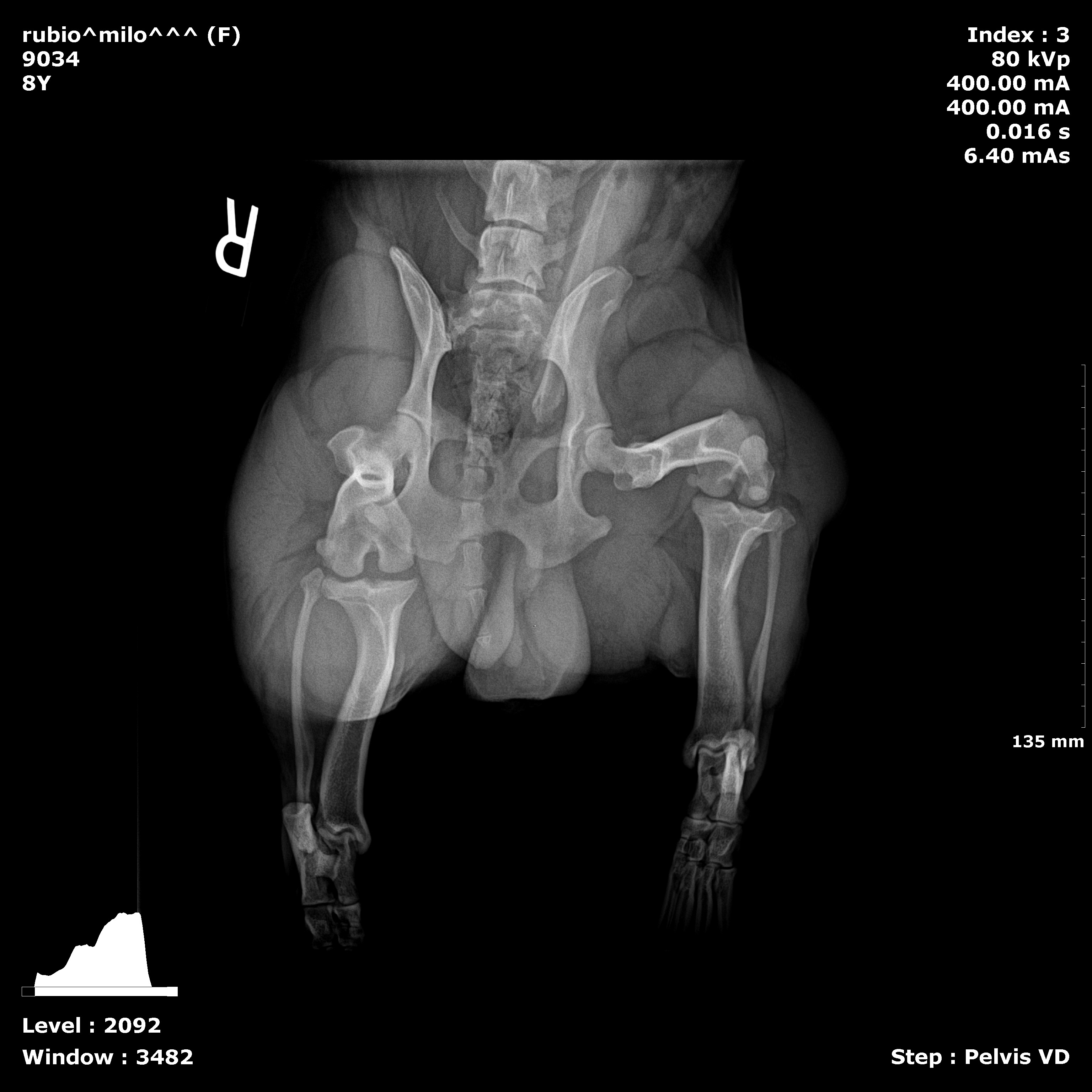 Milo's Surgery campaign photo, 6 of 8