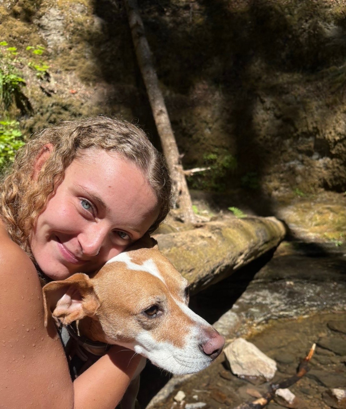 Support Ellie's Emergency Treatment campaign photo, 5 of 8