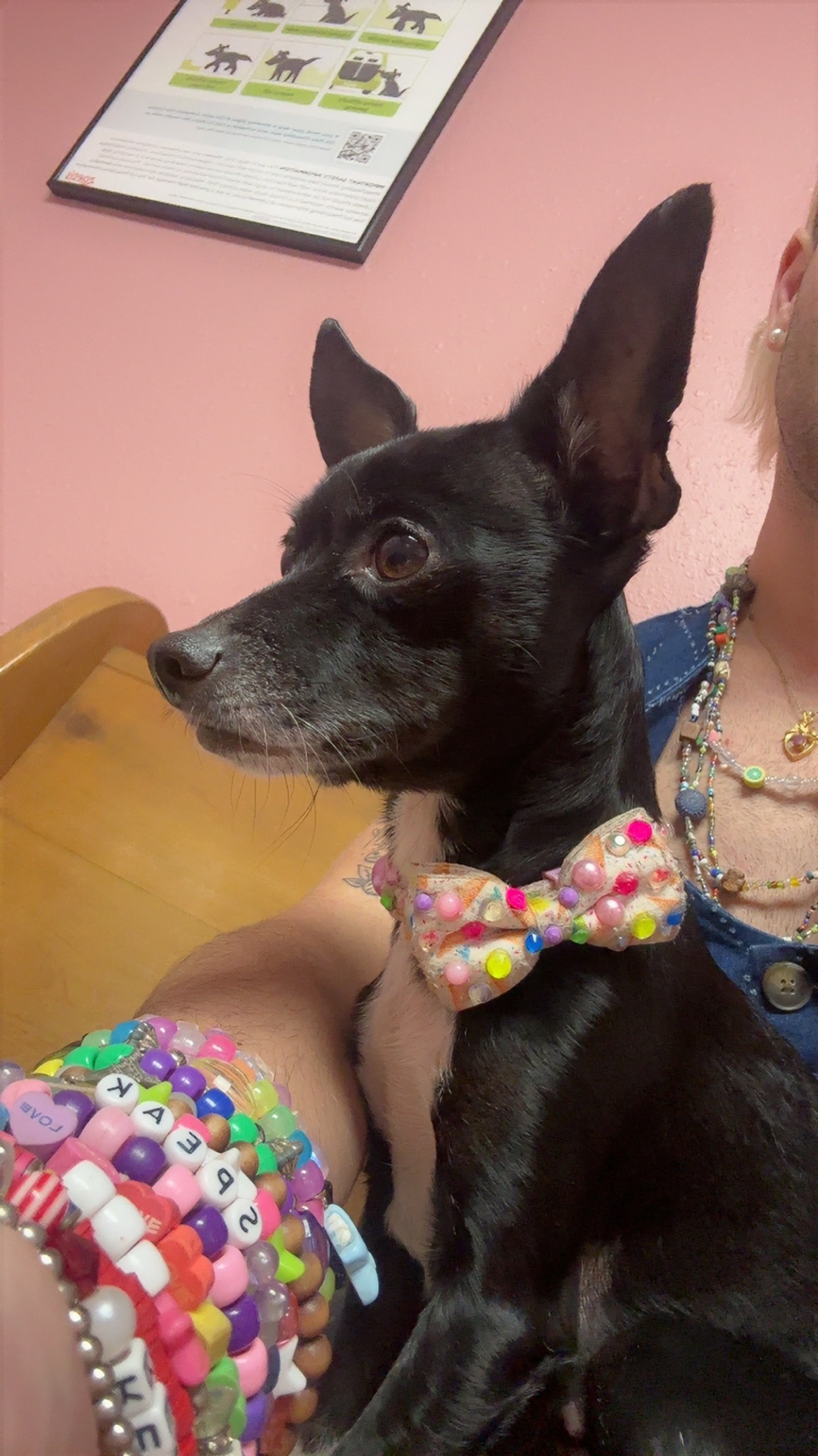 Help Ophelia Beat Breast Cancer campaign photo, 4 of 5