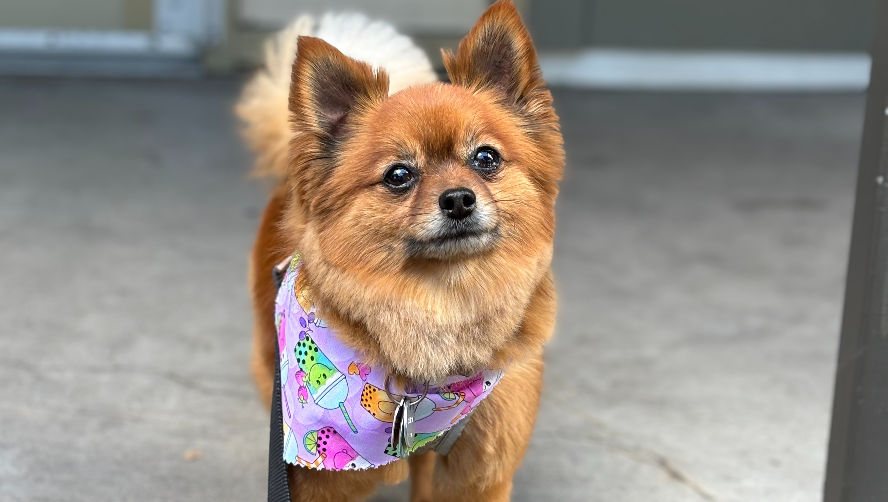 Support Andrea and Brett in Keiko's recovery