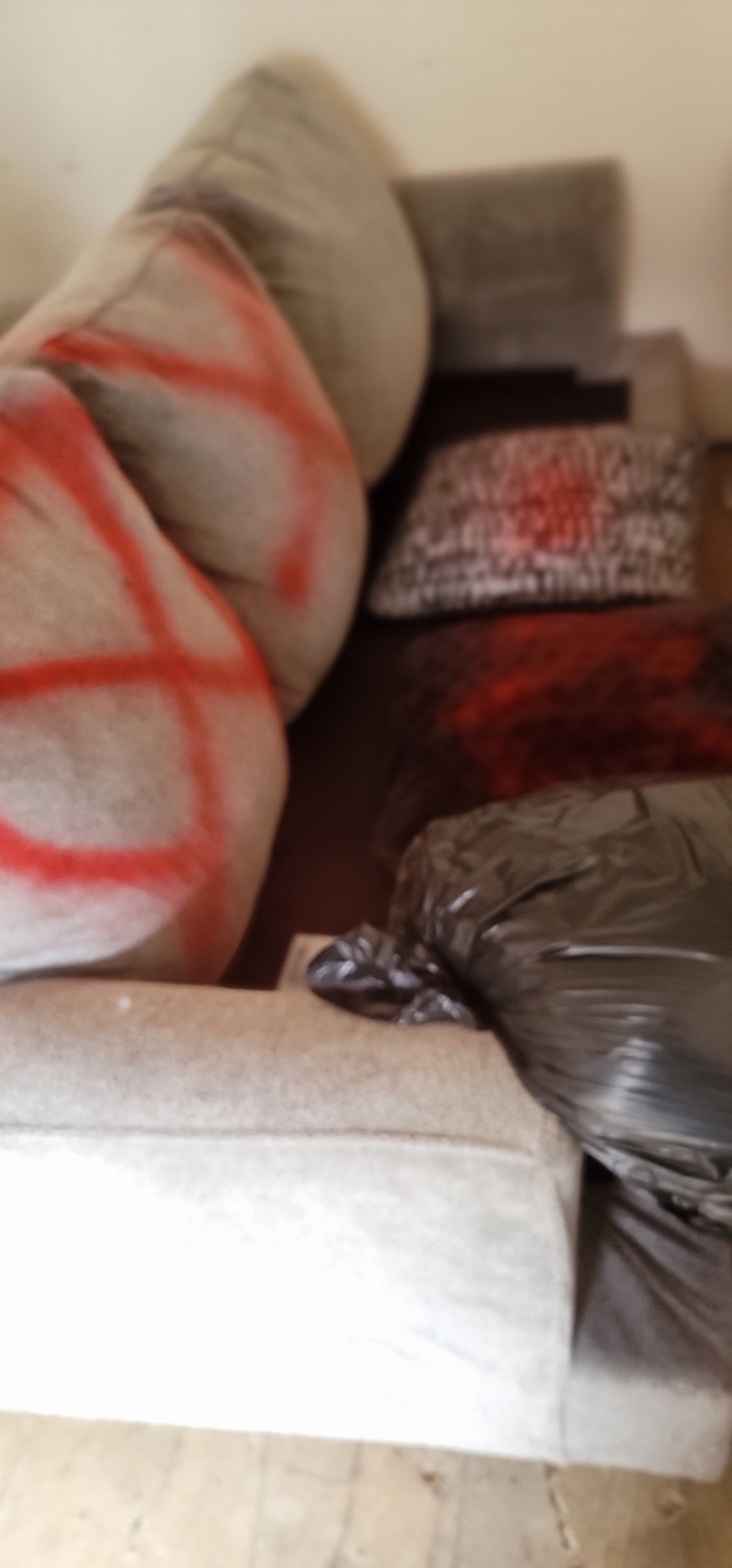 Help Jolie and Thomas Recover from Toxic Exposure campaign photo, 7 of 8