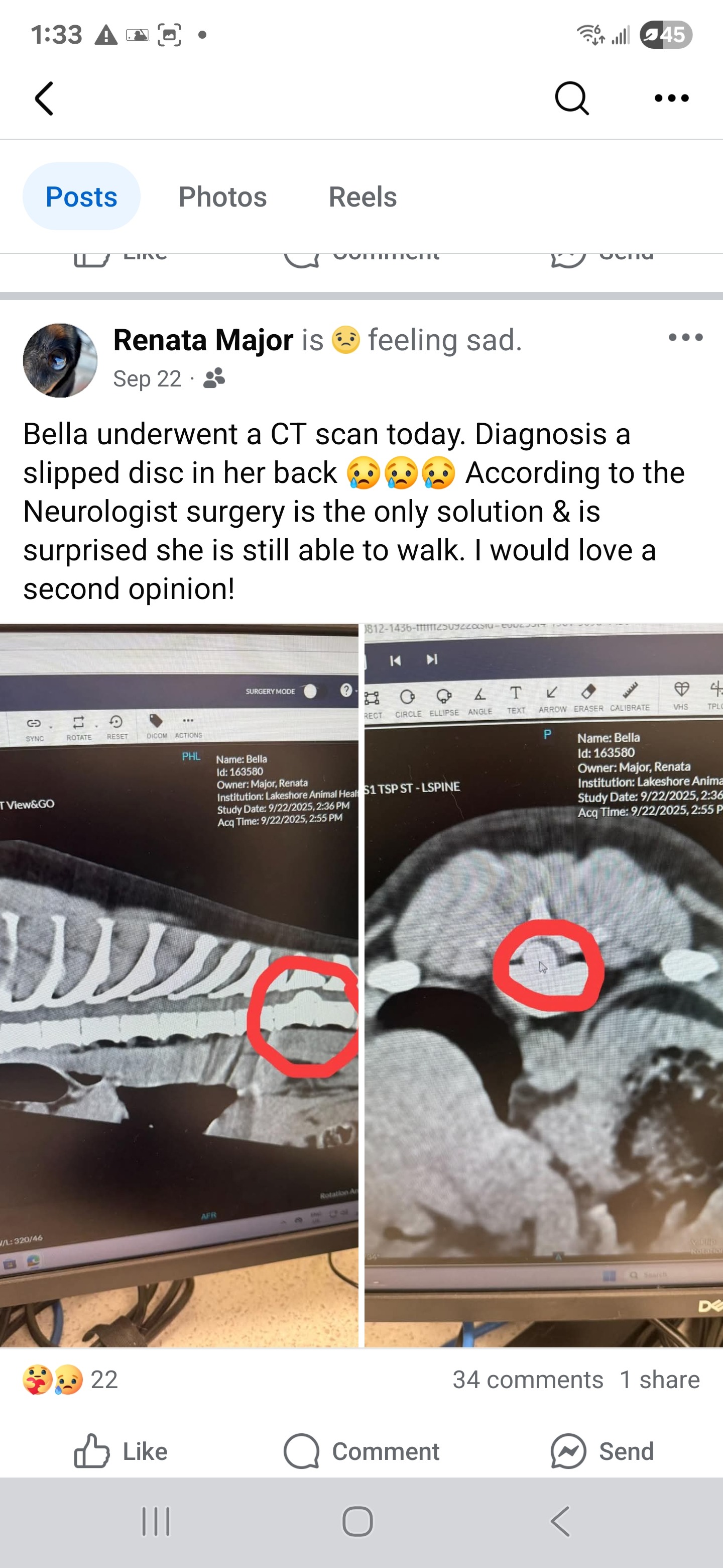 Help little Bella walk pain free again campaign photo, 2 of 4