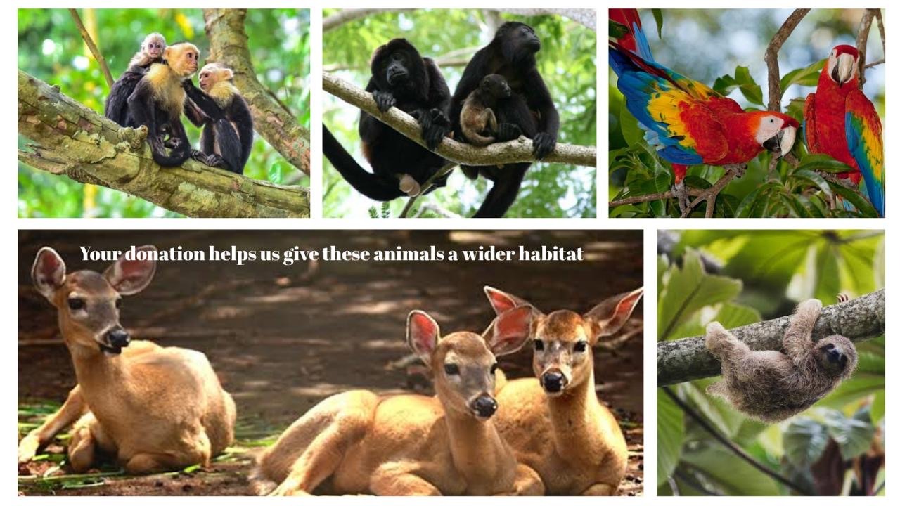 Help us bring The Harmony Foundation to life! campaign photo, 6 of 7