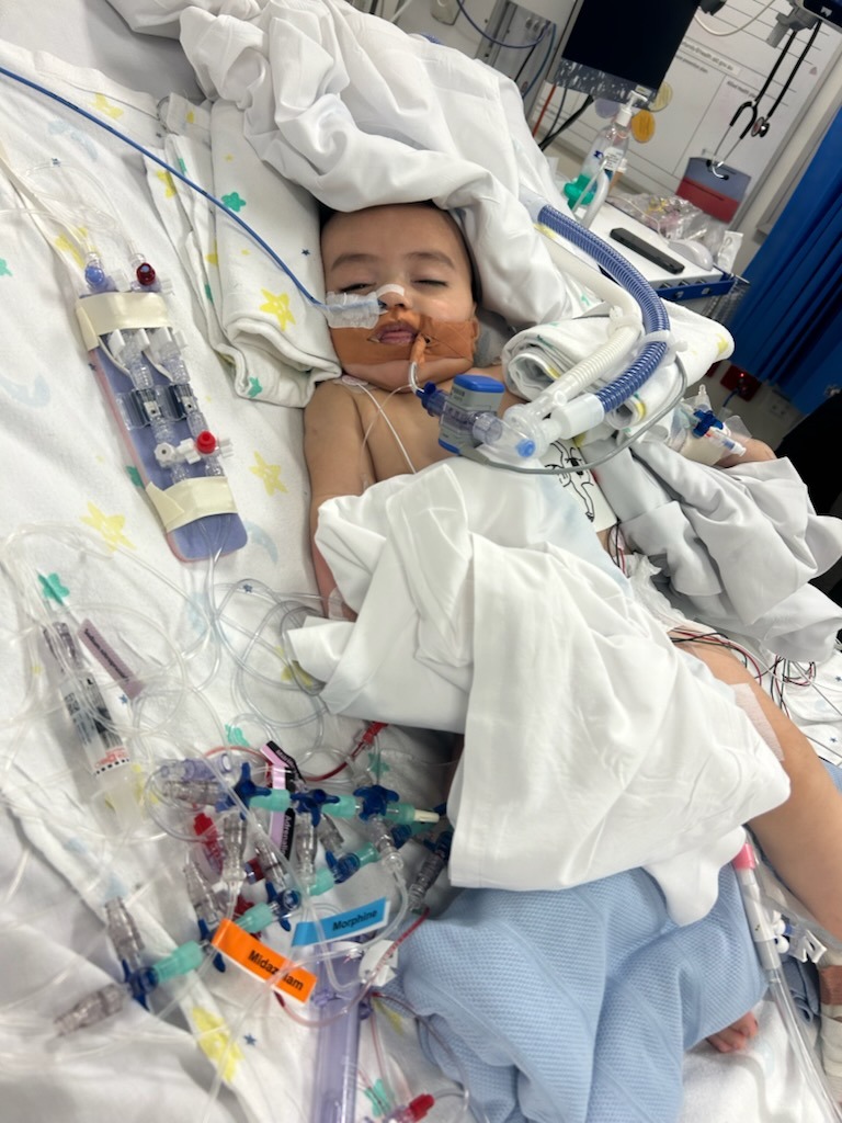 Help Precious Baby George be a Heart Warrior campaign photo, 4 of 5