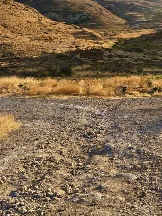 Help us repair the road to the Lemnos Dog Shelter campaign photo, 7 of 7