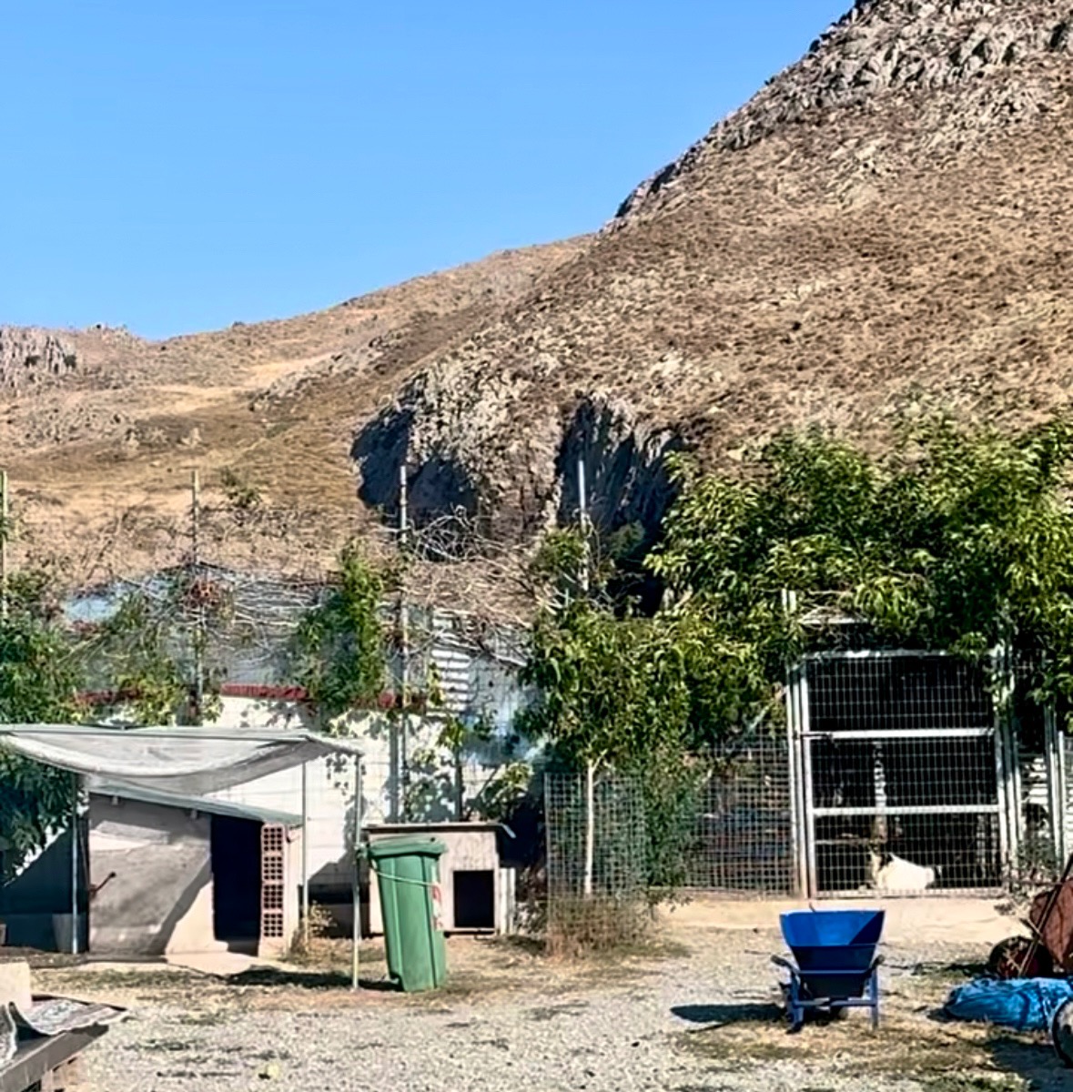 Help us repair the road to the Lemnos Dog Shelter campaign photo, 2 of 7