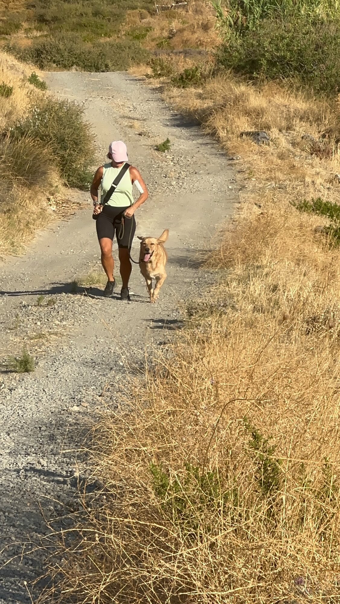 Help us repair the road to the Lemnos Dog Shelter campaign photo, 5 of 7