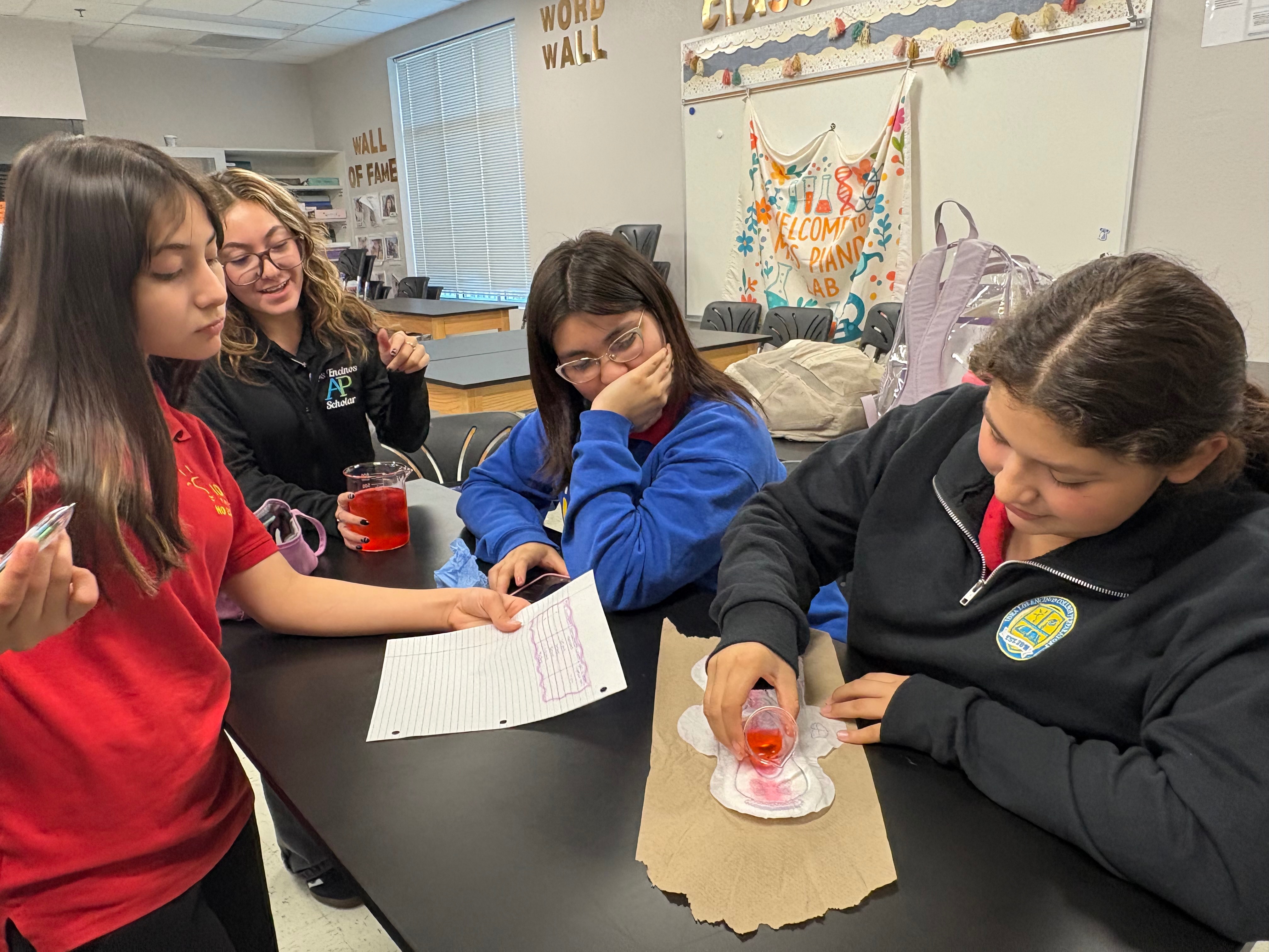 Support Our School's Women in STEM Club campaign photo, 2 of 7