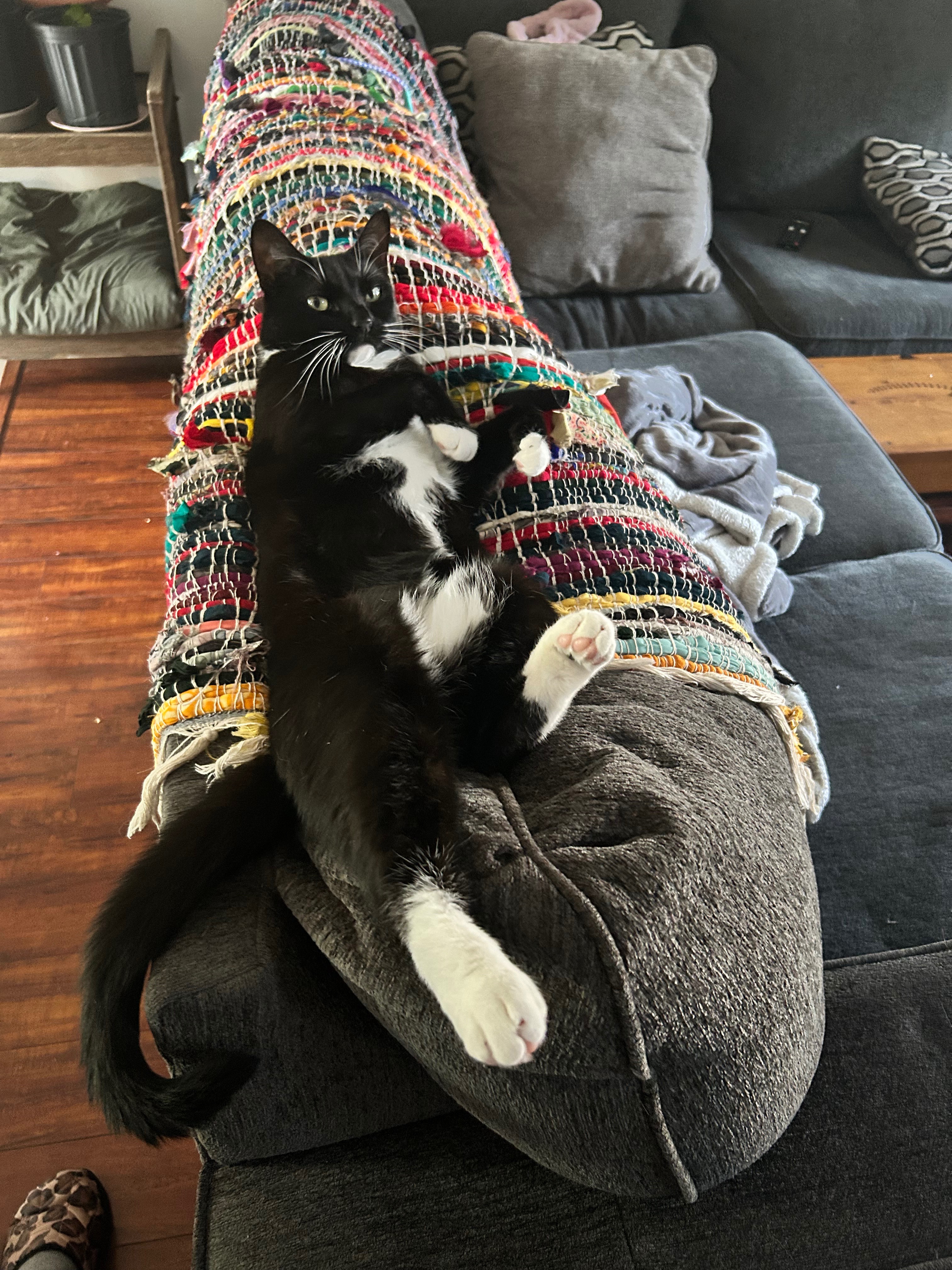 Extend Salem's Life: Urgent Help Needed campaign photo, 4 of 7