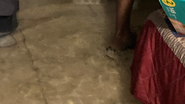 Support Erica and Grandkids After Flood Loss photo