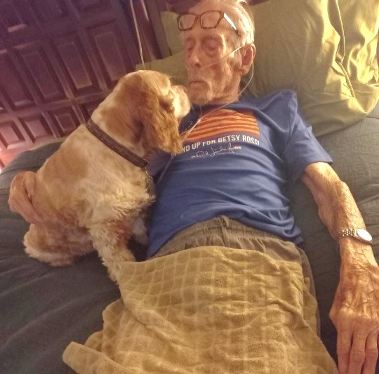 Help a Veteran’s Widow Attend Her Husband’s Final Goodbye campaign photo, 4 of 7