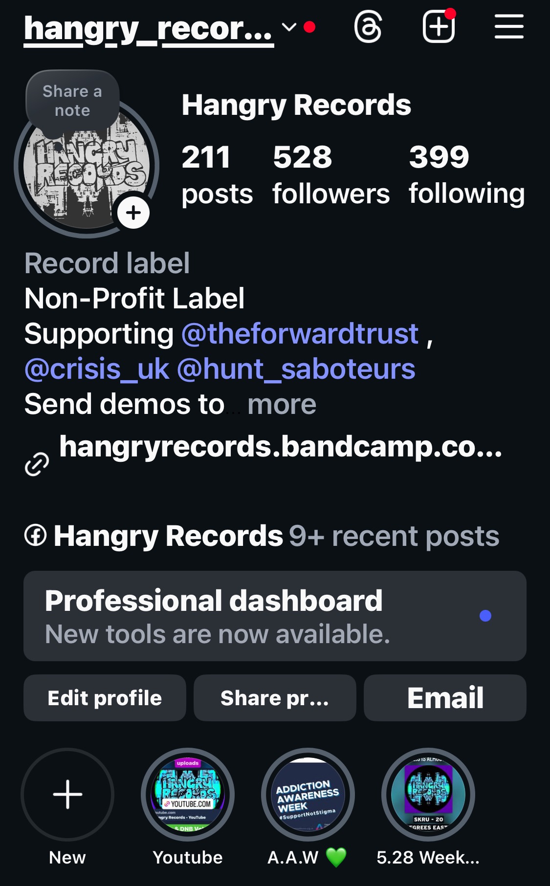 Help Hangry Records fundraise for next Vinyl release campaign photo, 4 of 8